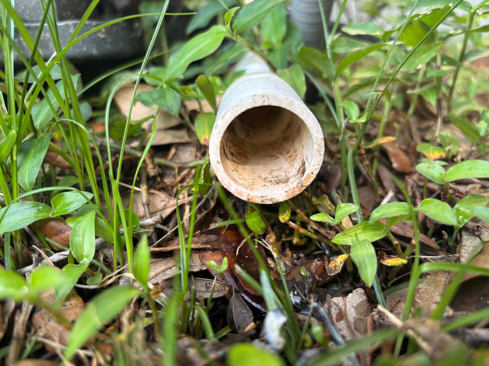 Gallery photos for What a Clogged Drain Line and Dirty Condenser Can Do to Your AC: Image #2