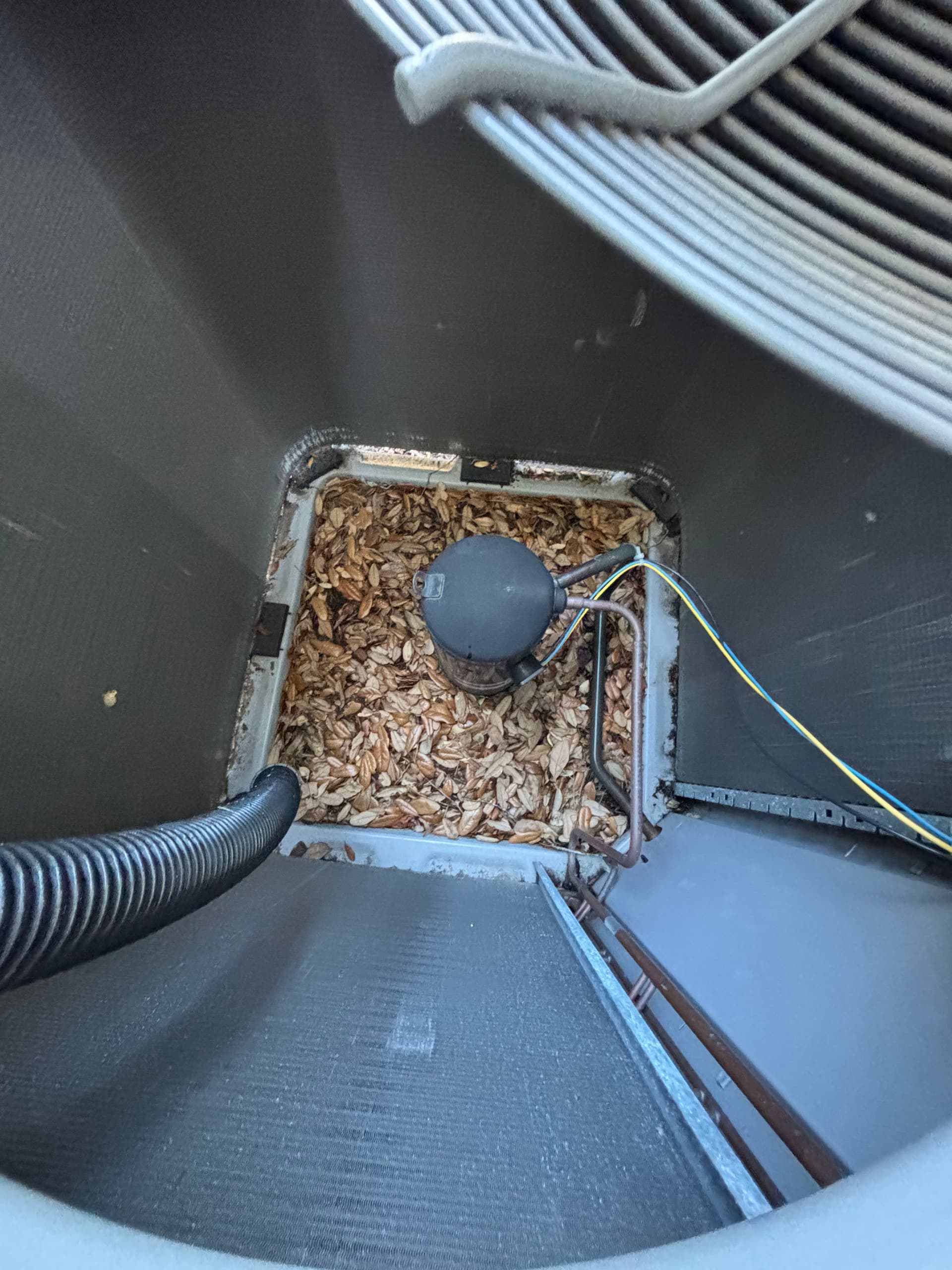 Why AC Tune-Ups Are Worth Every Penny image