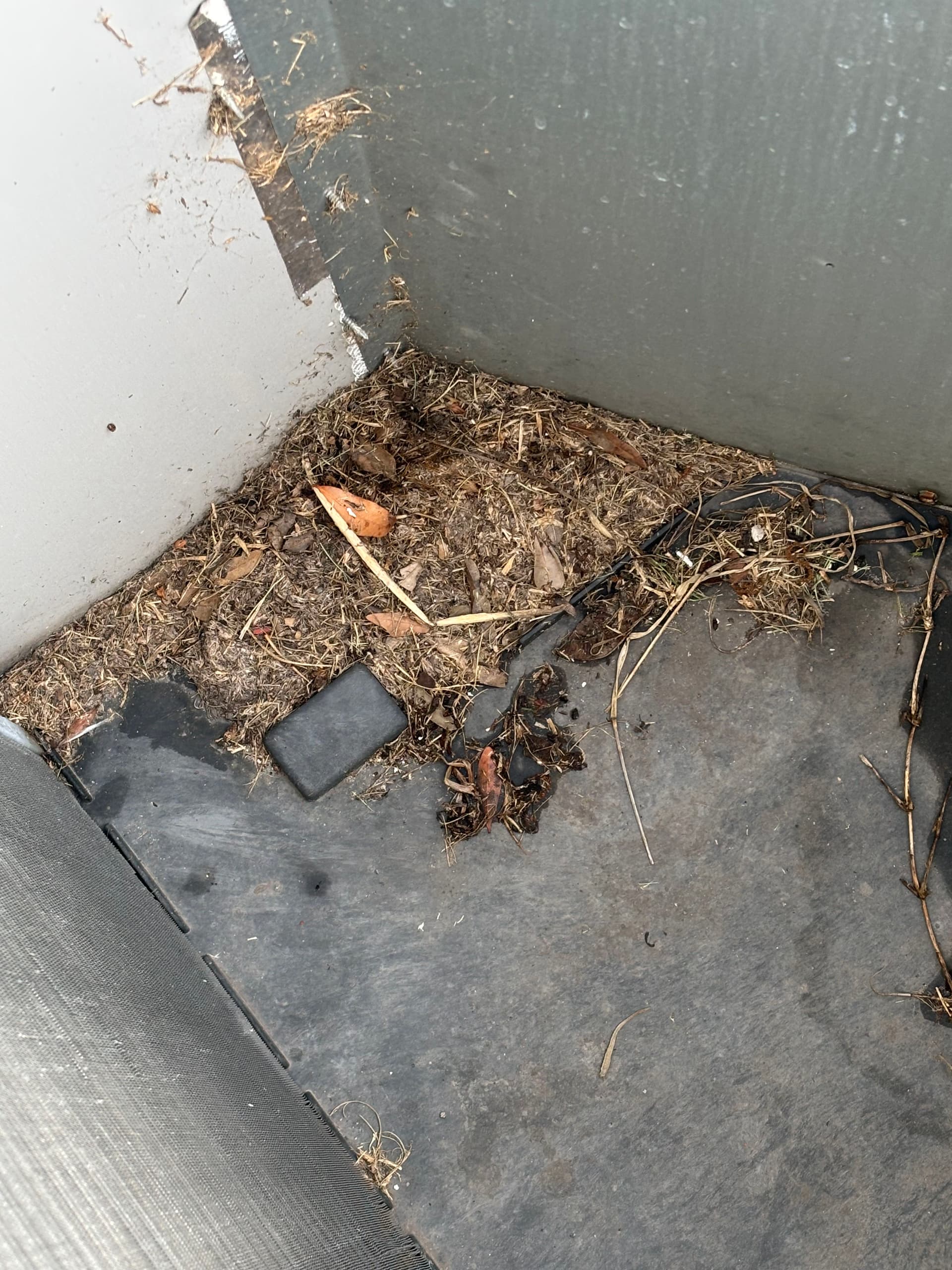Gallery photos for Blower Motor Replacement and Full Tune-Up on a Package Unit: Image #4