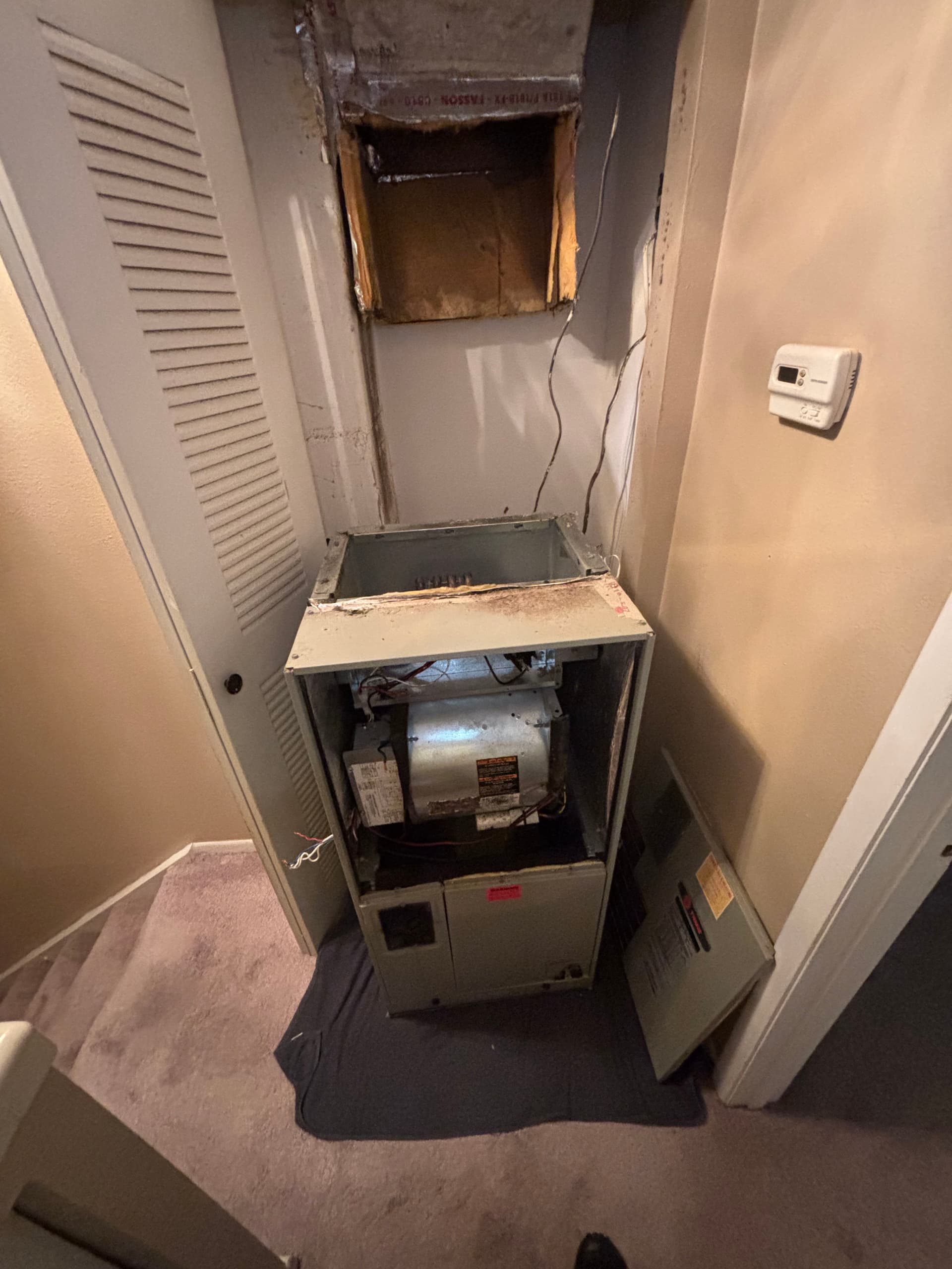 Gallery photos for Upgrading Your Comfort in Tampa: Image #1