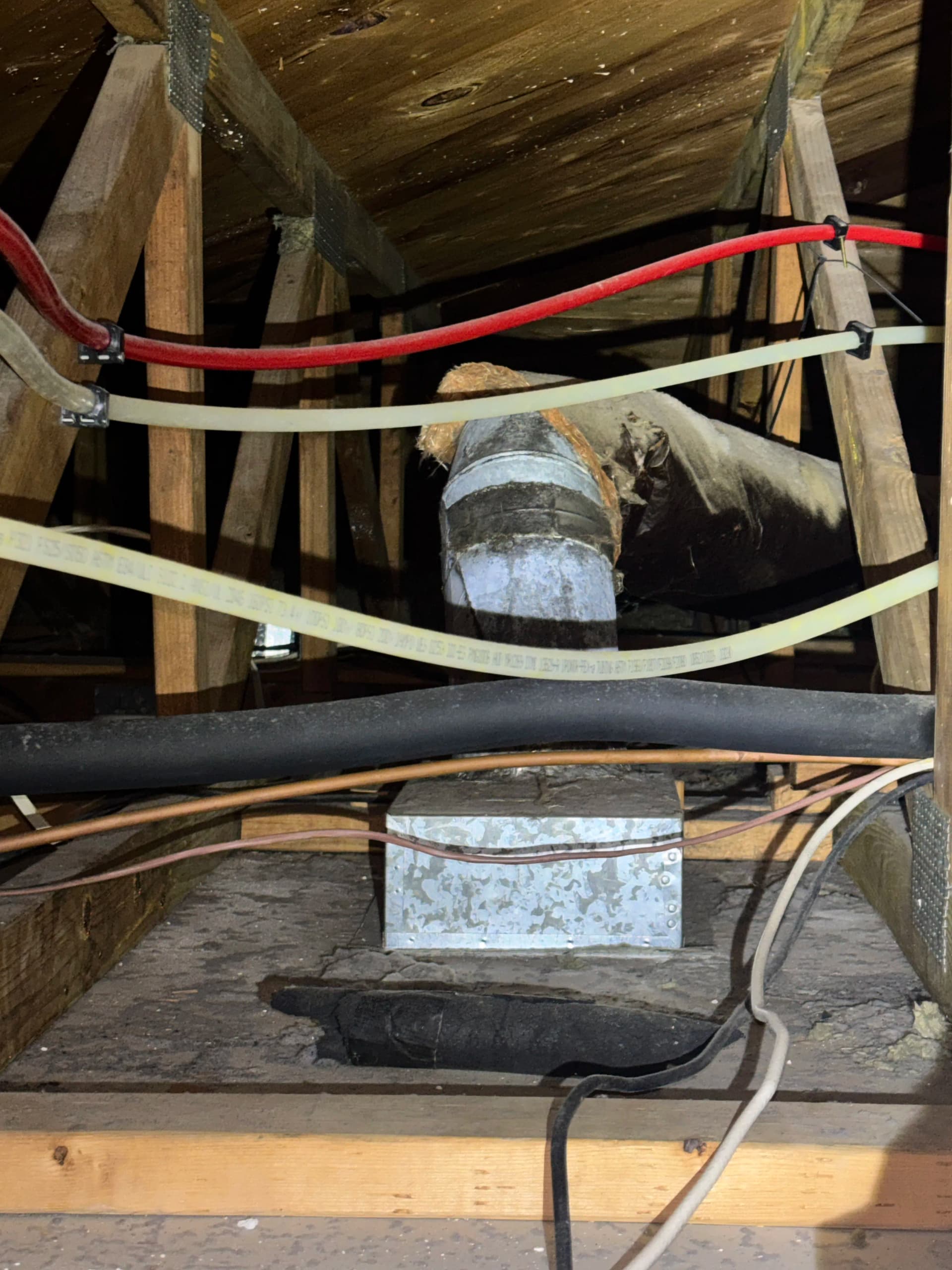 Gallery photos for What a Duct Inspection Actually Finds in Your Attic: Image #3