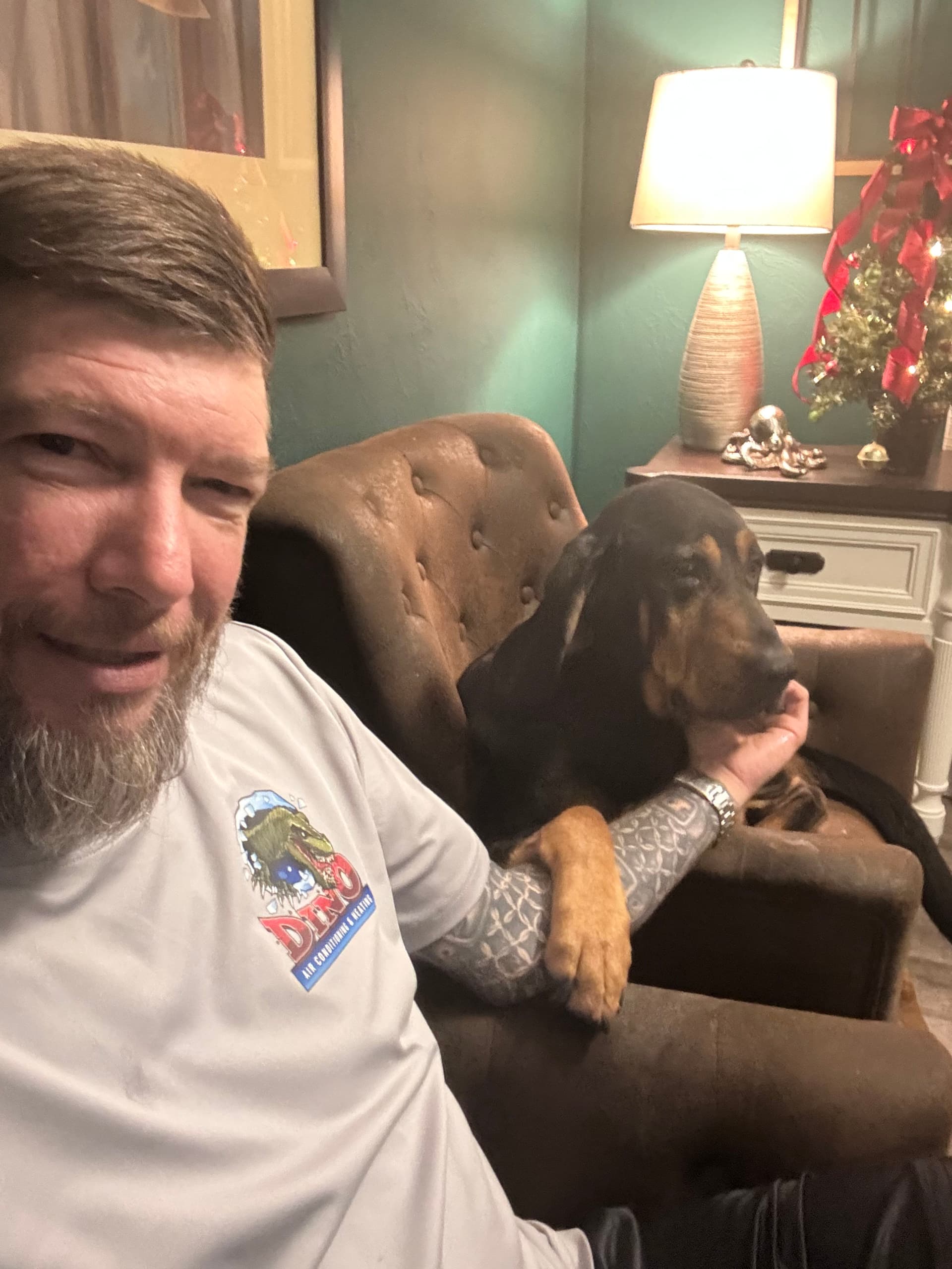 Stay Cozy with Dino Air Conditioning and Heating image