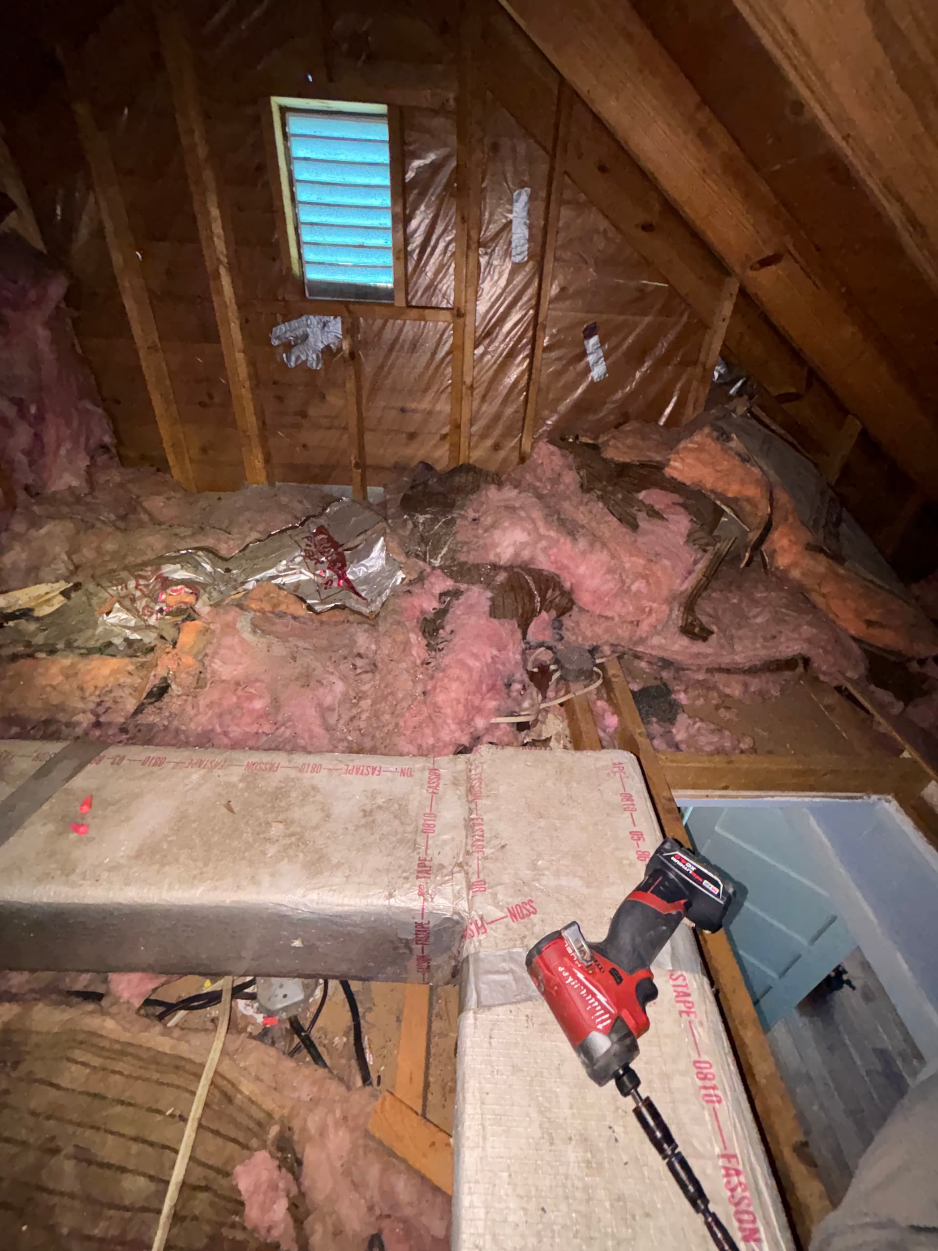 Gallery photos for What We Find When We Go Into Your Attic: Image #3
