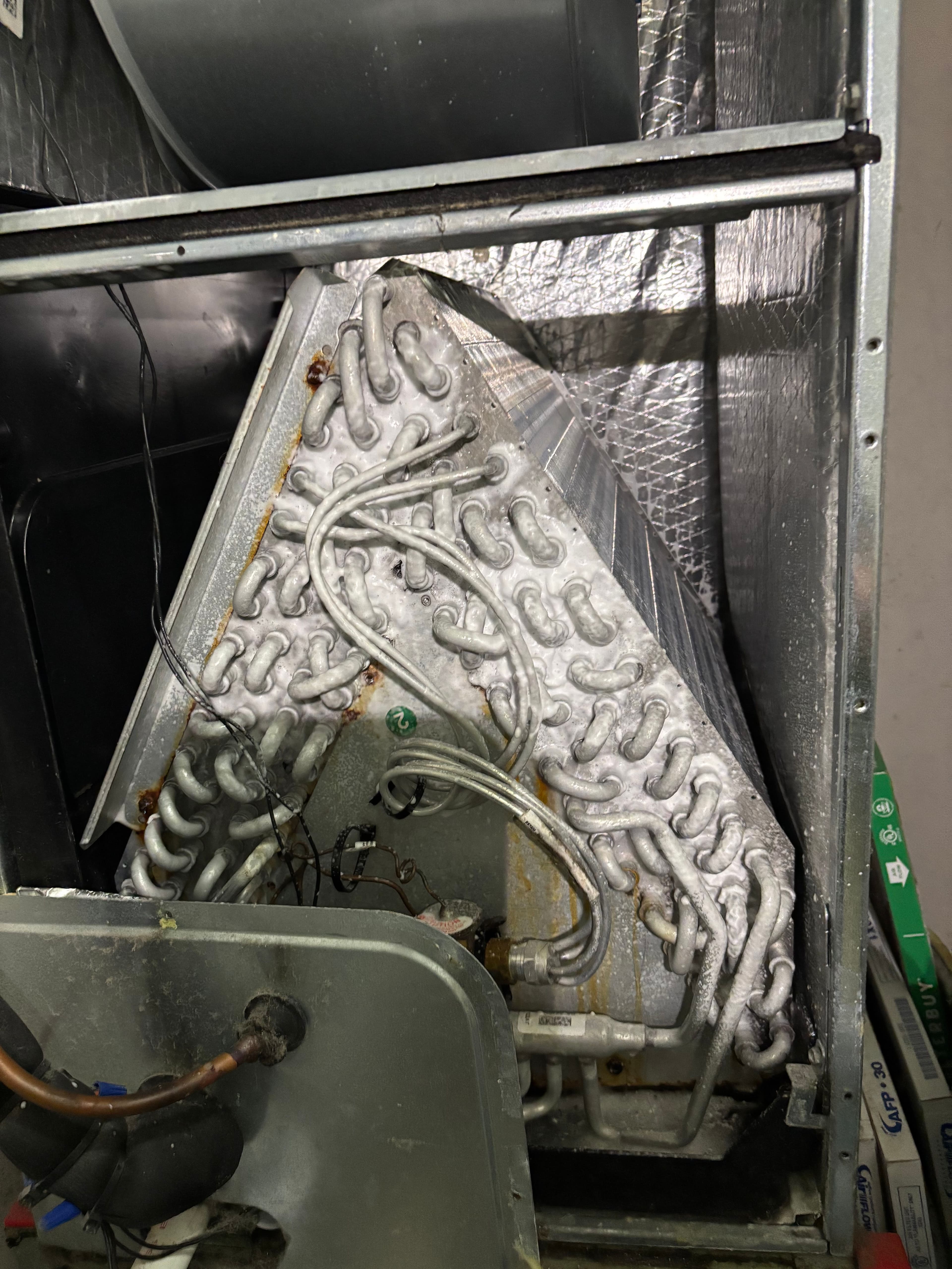 Project Pet-Friendly HVAC Maintenance for Ultimate Comfort image