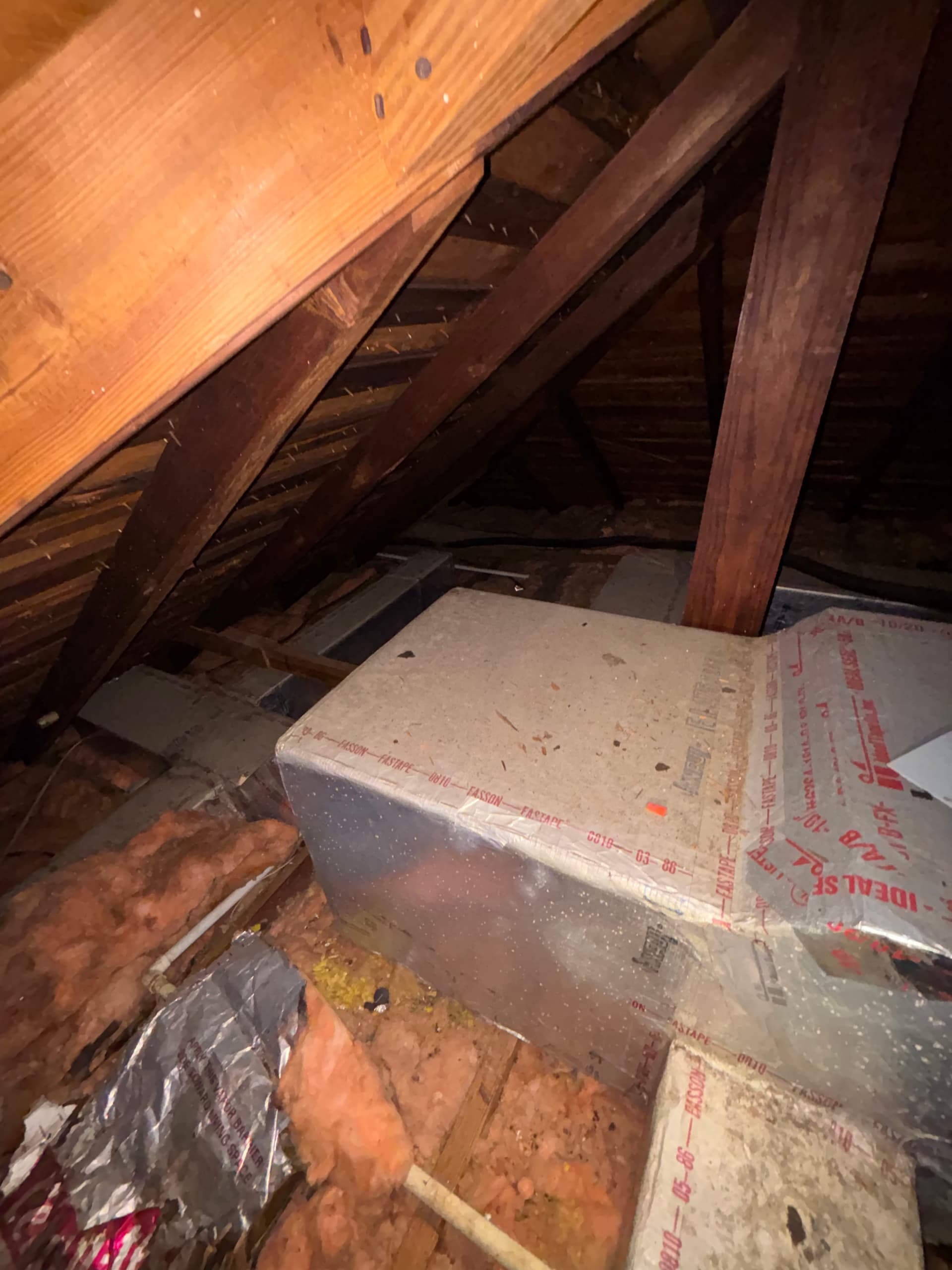 Gallery photos for What We Find When We Go Into Your Attic: Image #4
