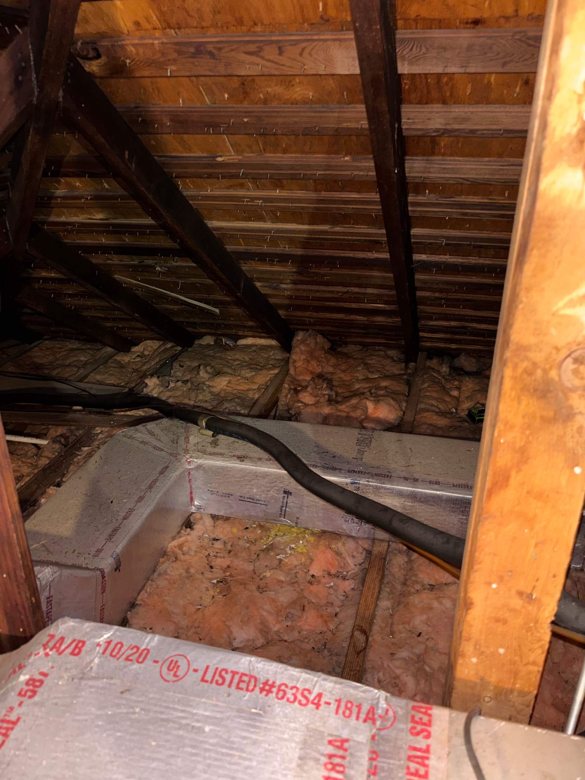 What We Find When We Go Into Your Attic image