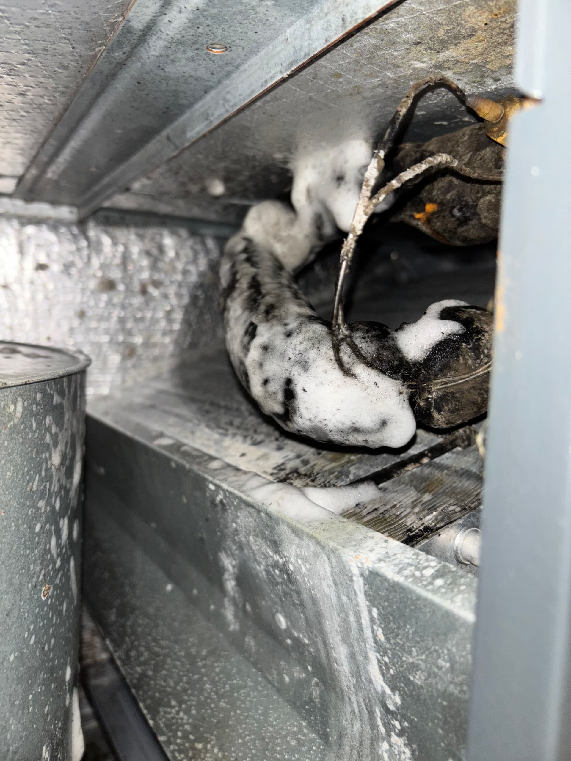 Gallery photos for HVAC Cleaning Boosts Efficiency and Air Quality: Image #1