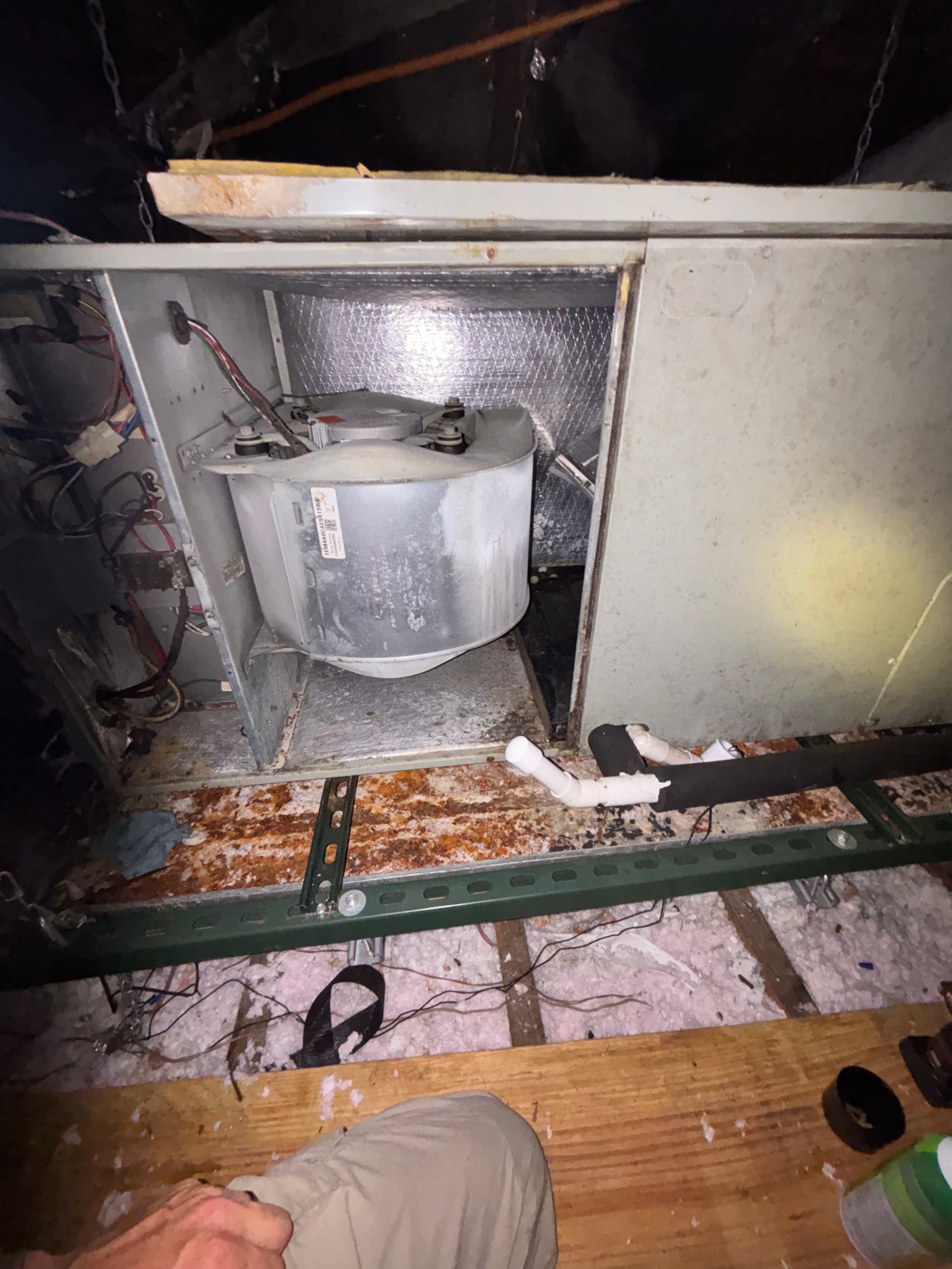 Gallery photos for Why a Dirty Drain Pan Is a Bigger Deal Than You Think: Image #1