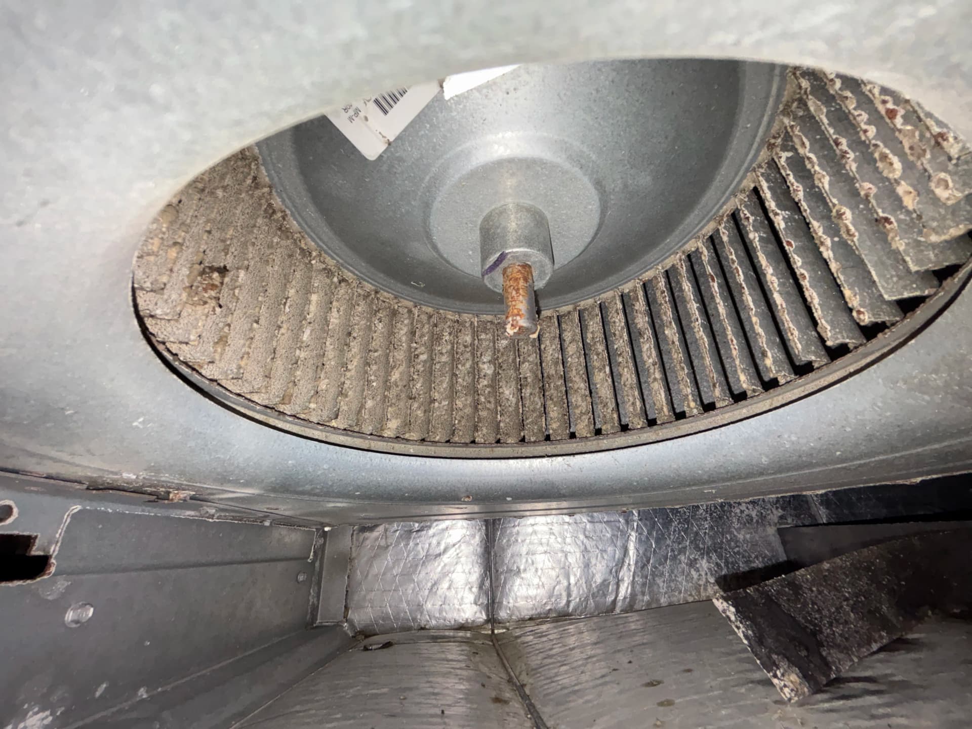 Gallery photos for What a Neglected A/C System Looks Like Inside: Image #5
