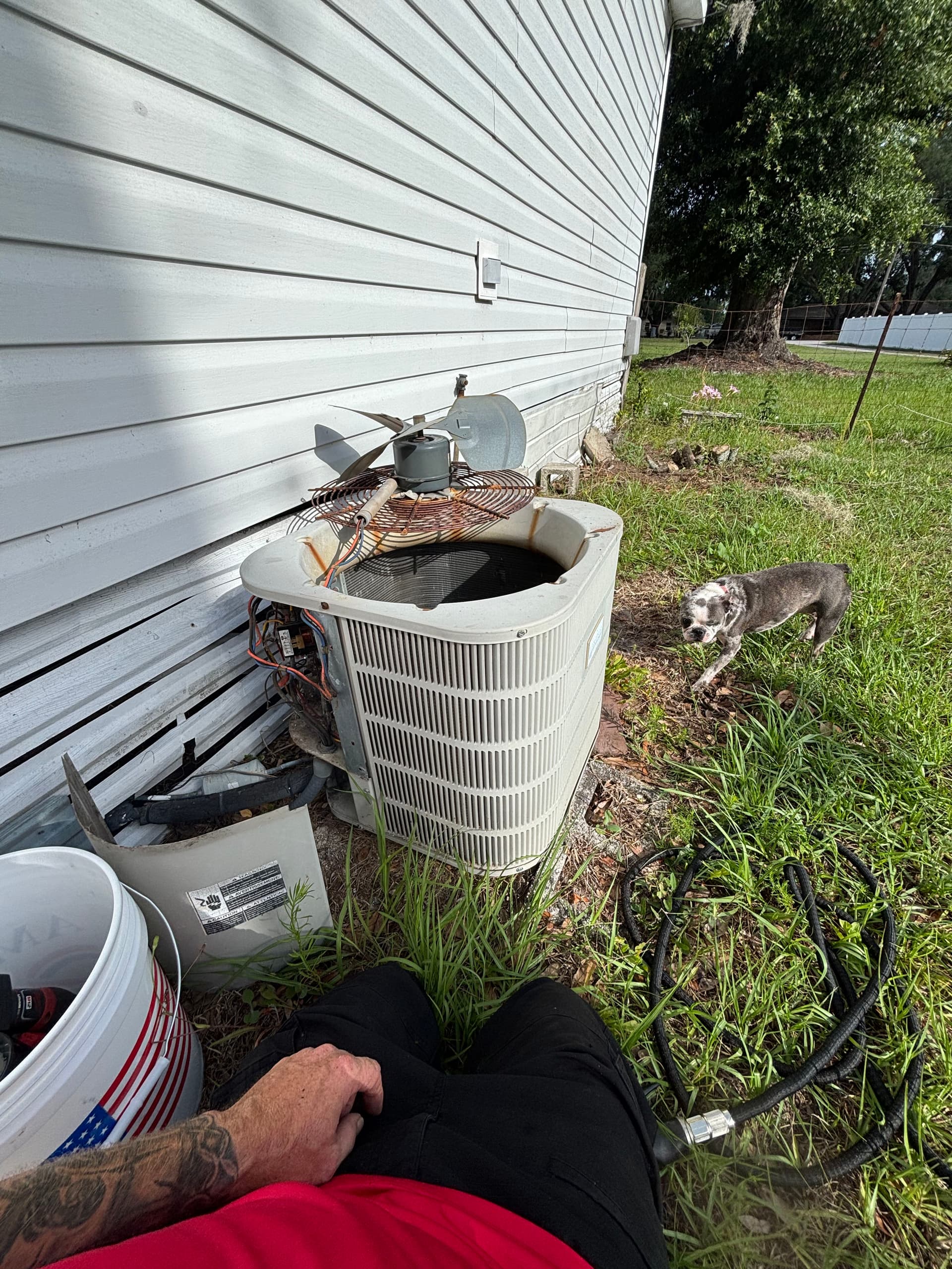 Gallery photos for What Happens When an Older AC Unit Gets Properly Cleaned: Image #1