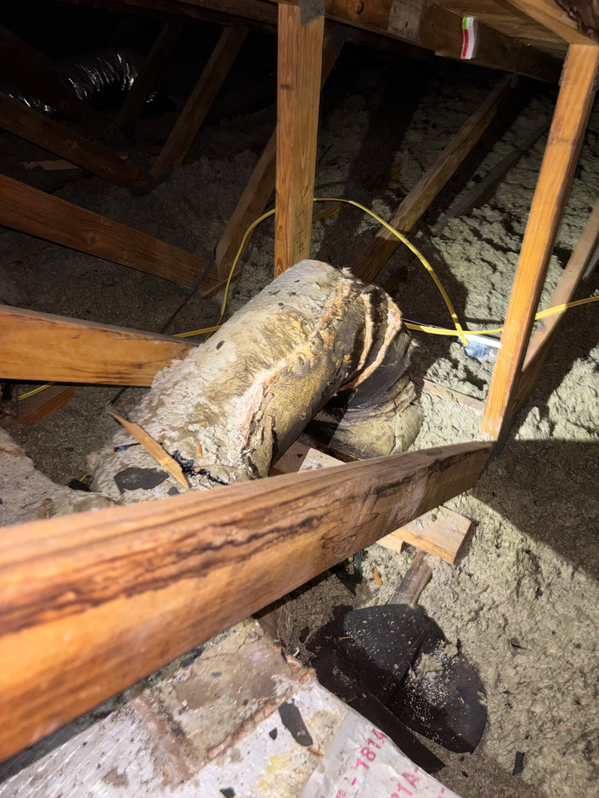 Gallery photos for What a Duct Inspection Actually Finds in Your Attic: Image #4