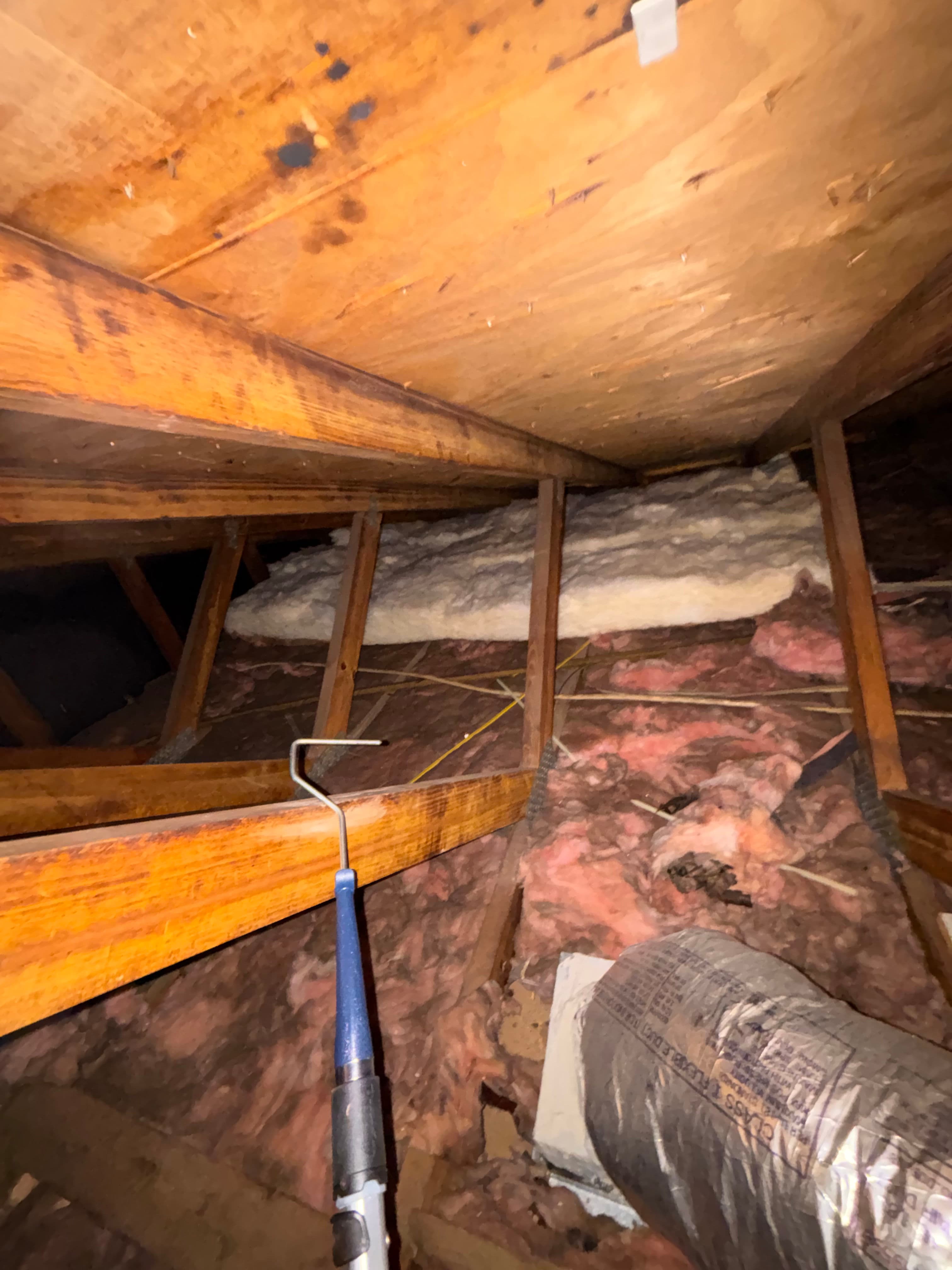 Project Expert Attic Insulation and Ductwork Installation image