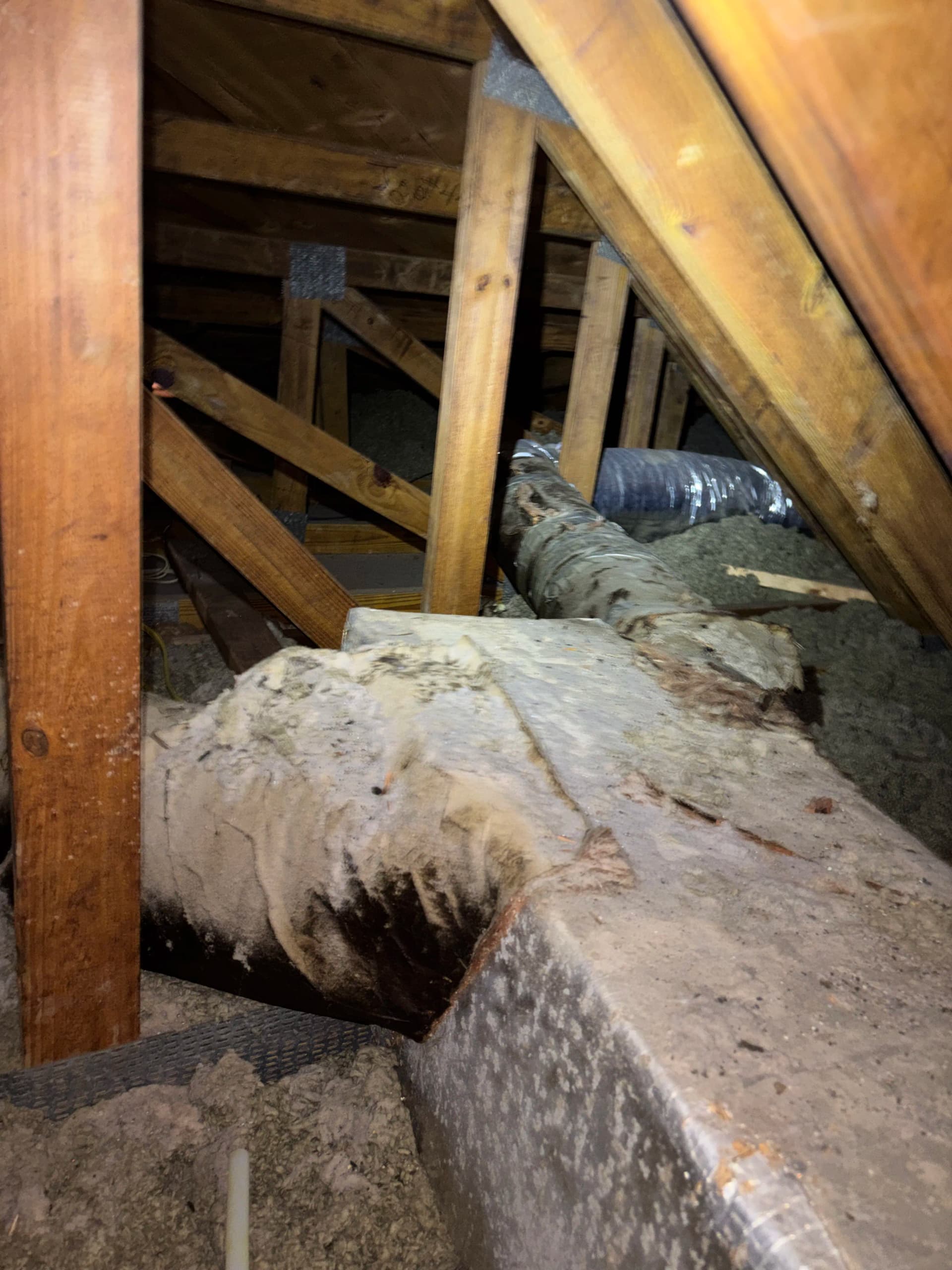 Gallery photos for What a Duct Inspection Actually Finds in Your Attic: Image #1