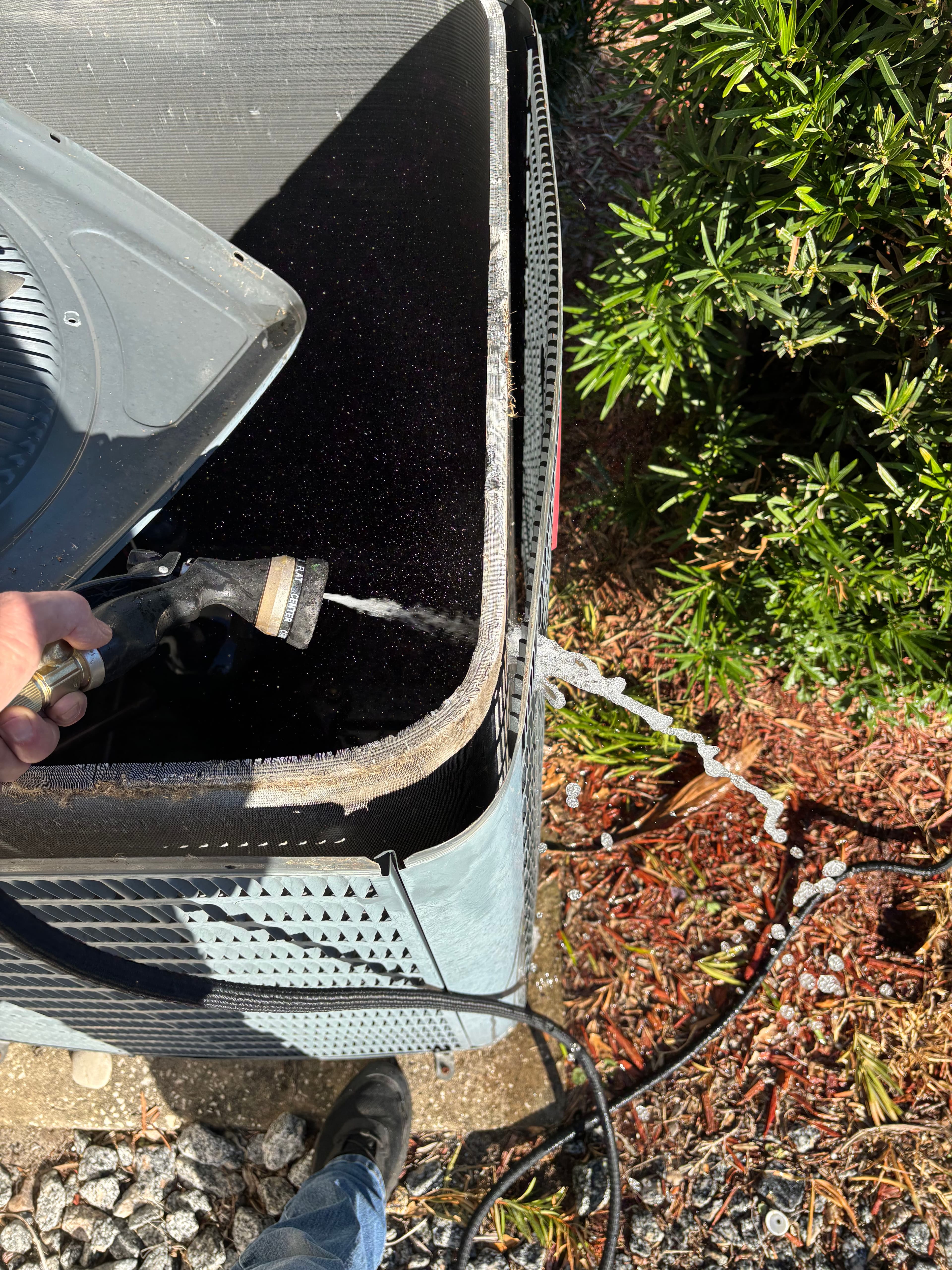 Join the Dino Club for Expert HVAC Maintenance