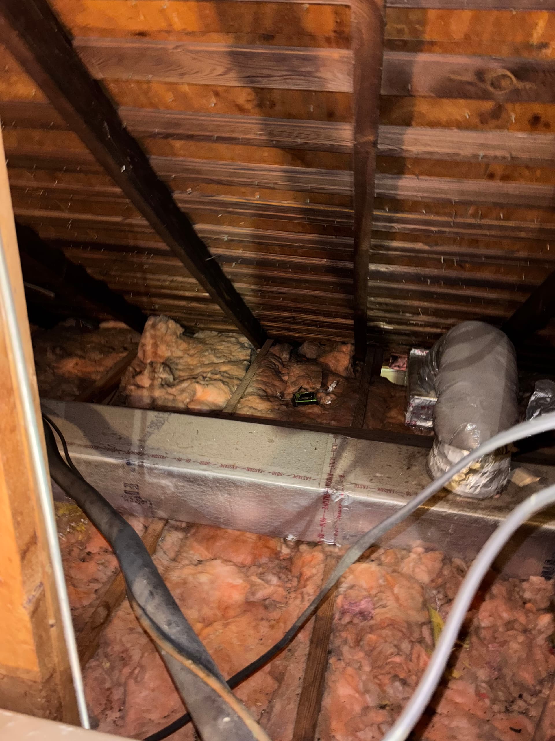Gallery photos for What We Find When We Go Into Your Attic: Image #1