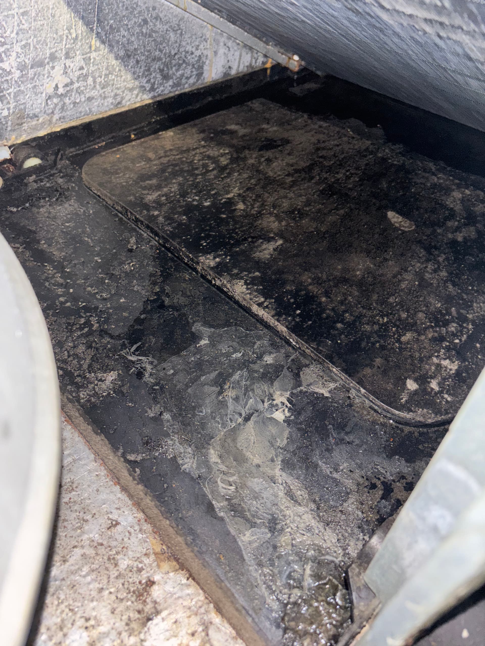 Gallery photos for Why a Dirty Drain Pan Is a Bigger Deal Than You Think: Image #2