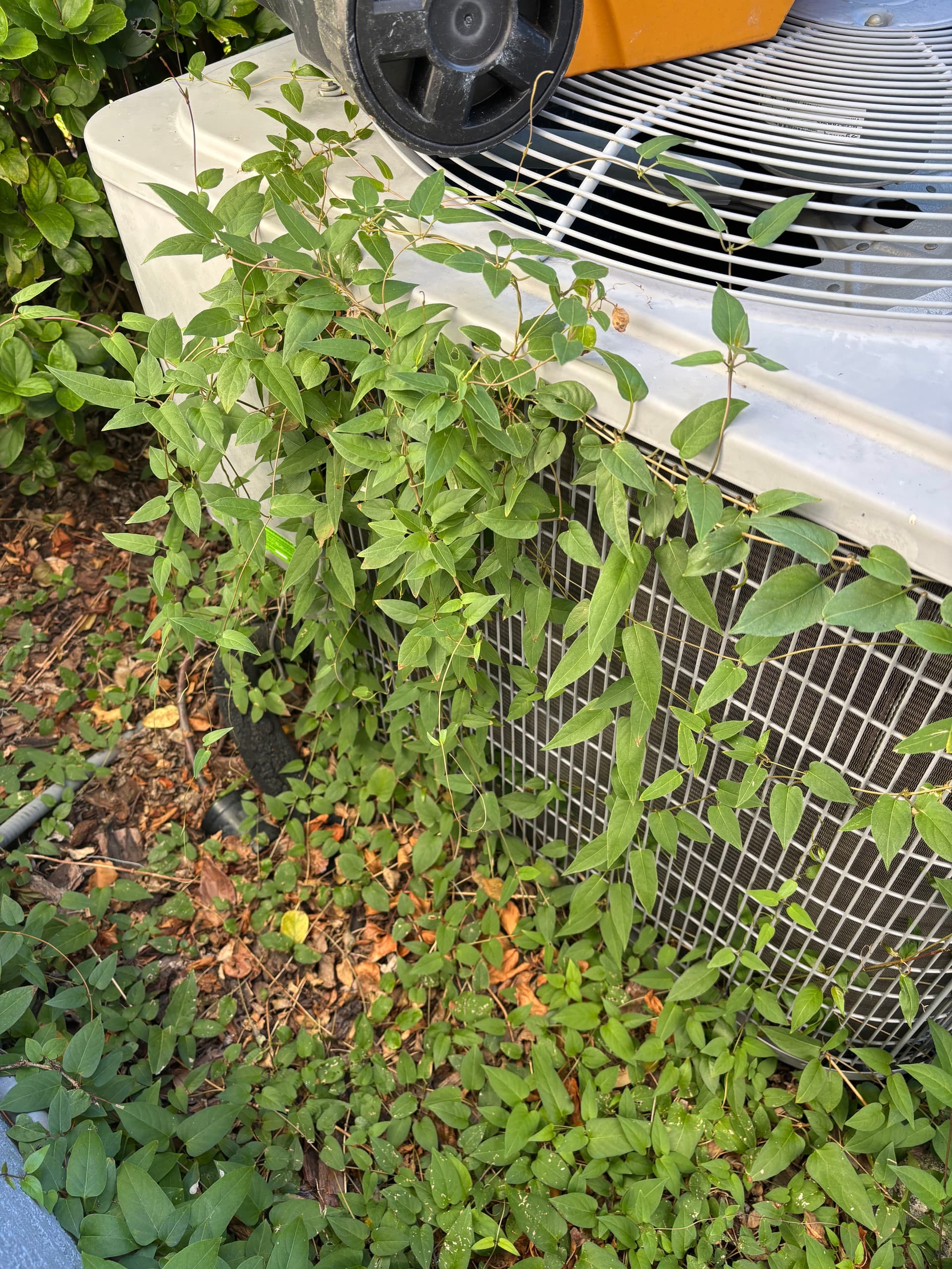 Gallery photos for Old Furnace and AC Swapped for a High-Efficiency Variable Speed System: Image #4