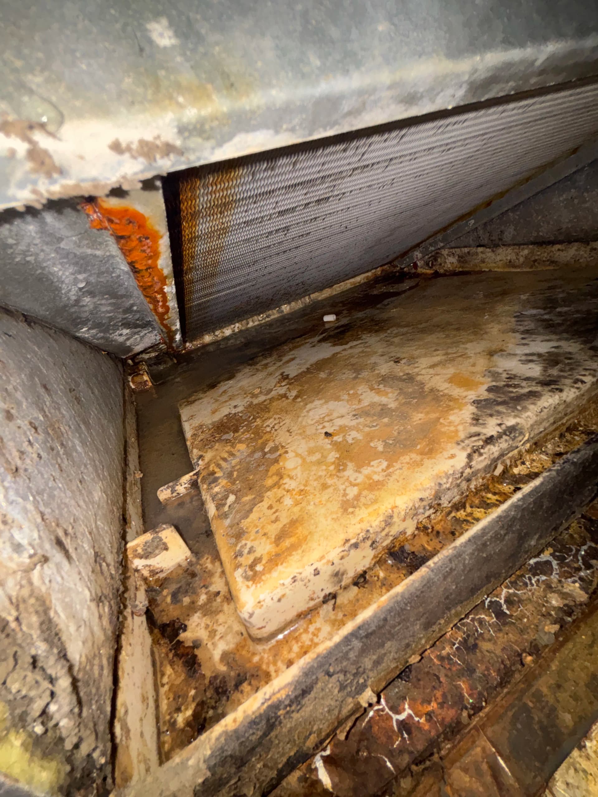 Gallery photos for What Happens When Your HVAC Tune-Up Gets Skipped Too Long: Image #3