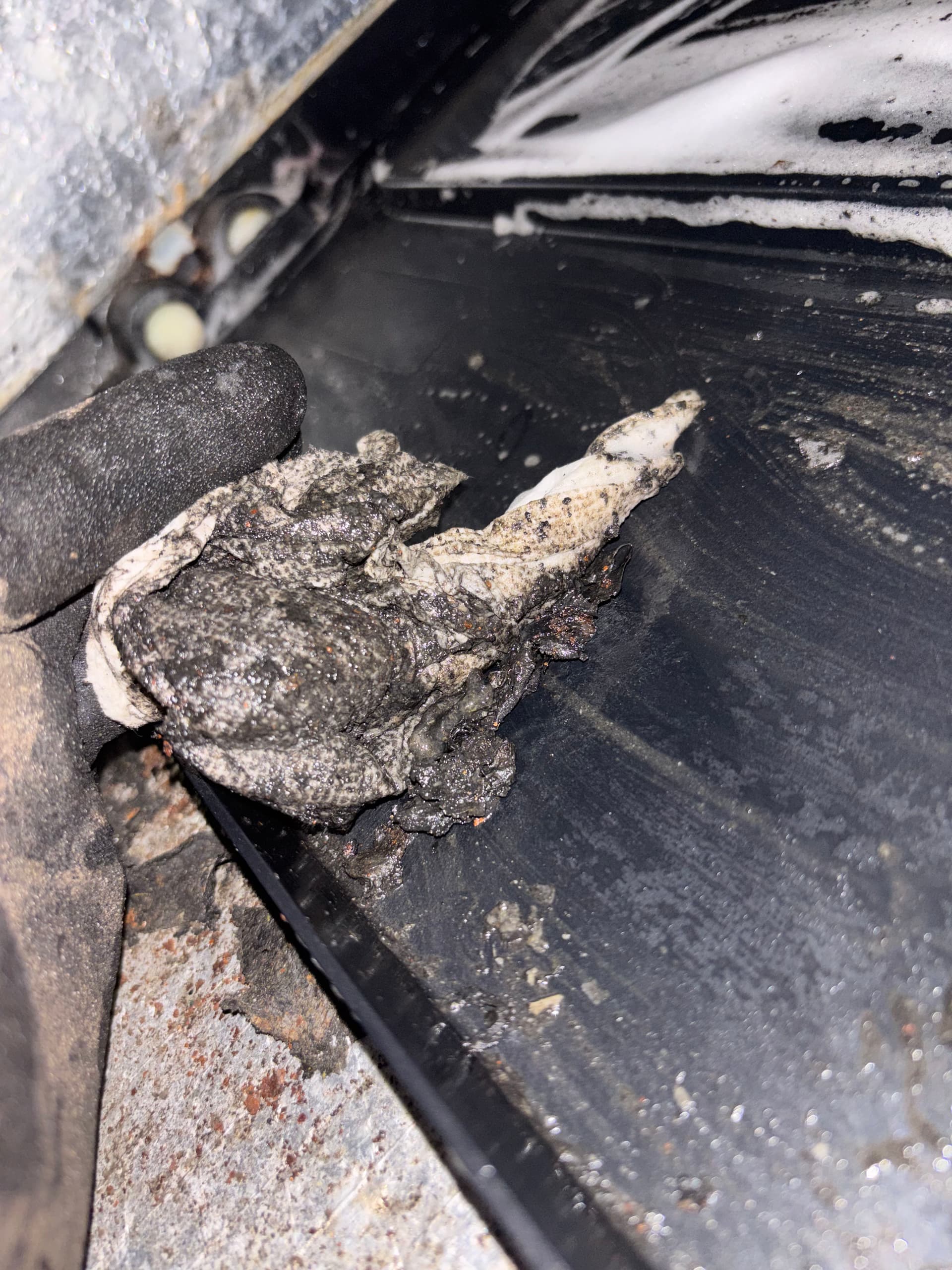 Gallery photos for Why a Dirty Drain Pan Is a Bigger Deal Than You Think: Image #5
