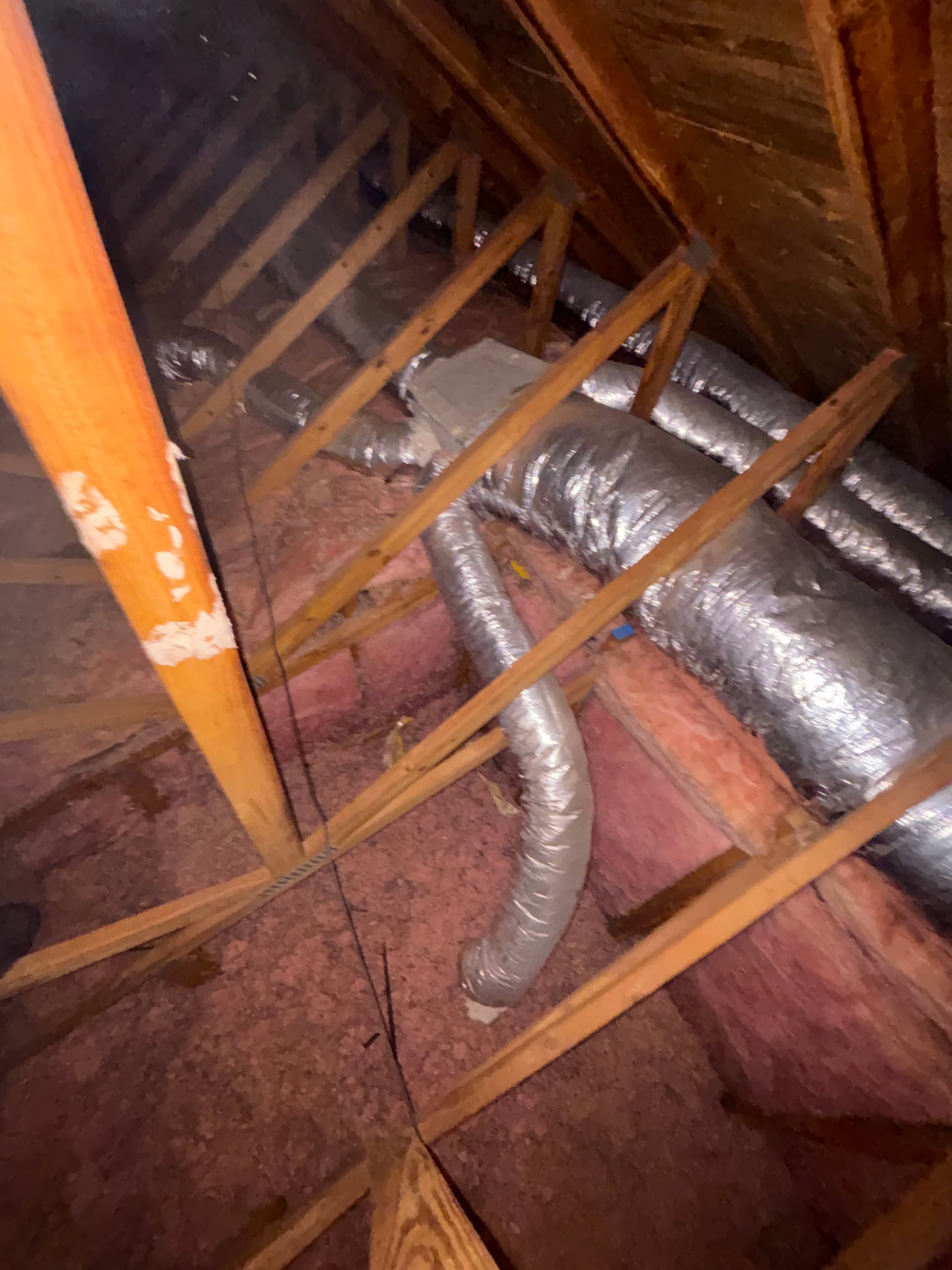 Gallery photos for Duct and Insulation Check-Up in Brandon FL: Image #1