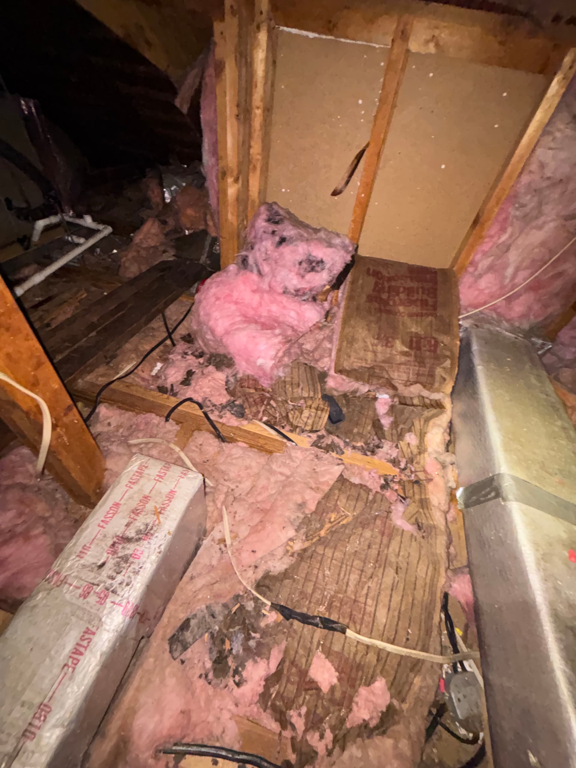 Gallery photos for What We Find When We Go Into Your Attic: Image #2