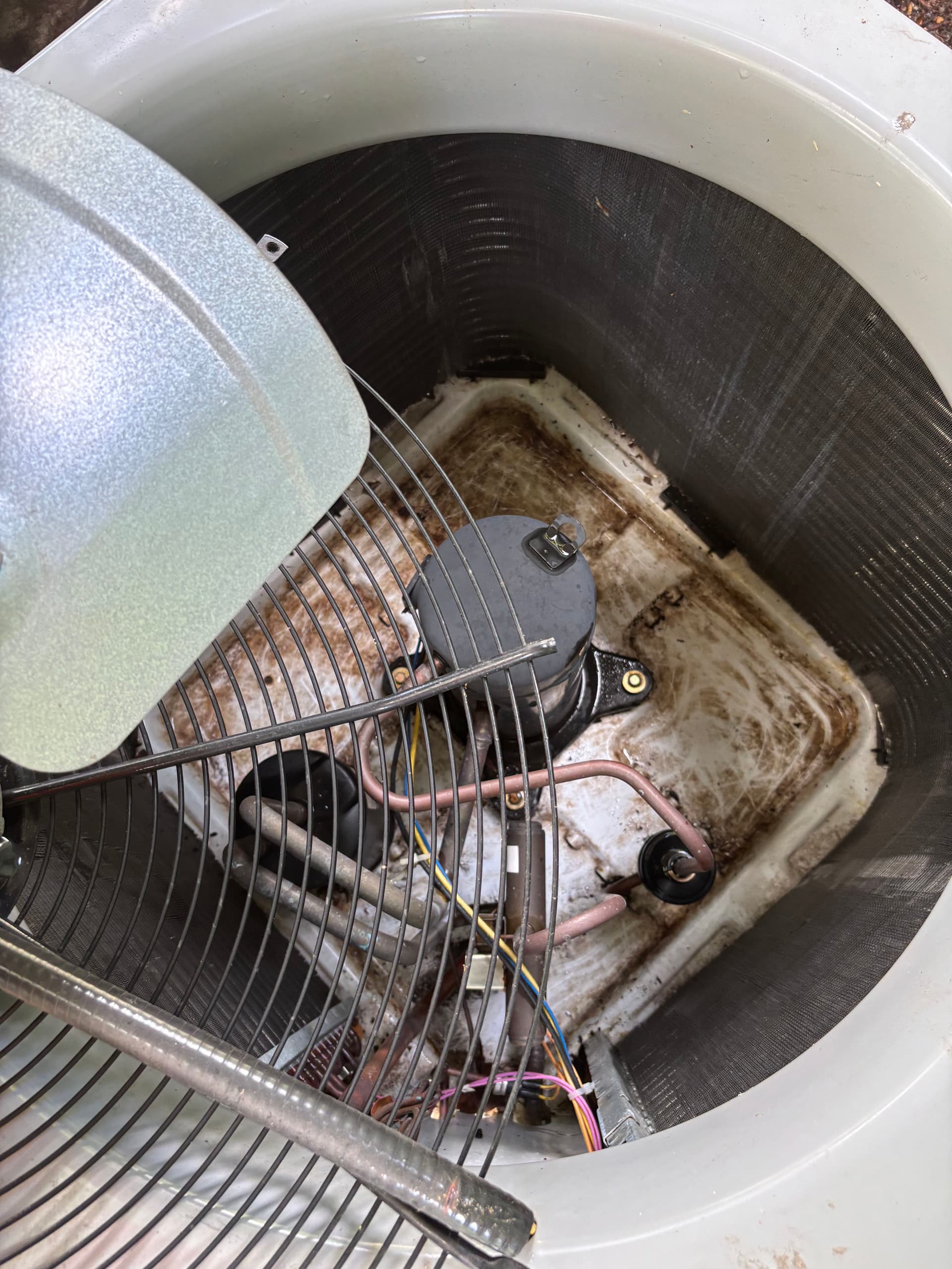 Gallery photos for This AC System Was Suffocating - Here's What We Found Inside: Image #6