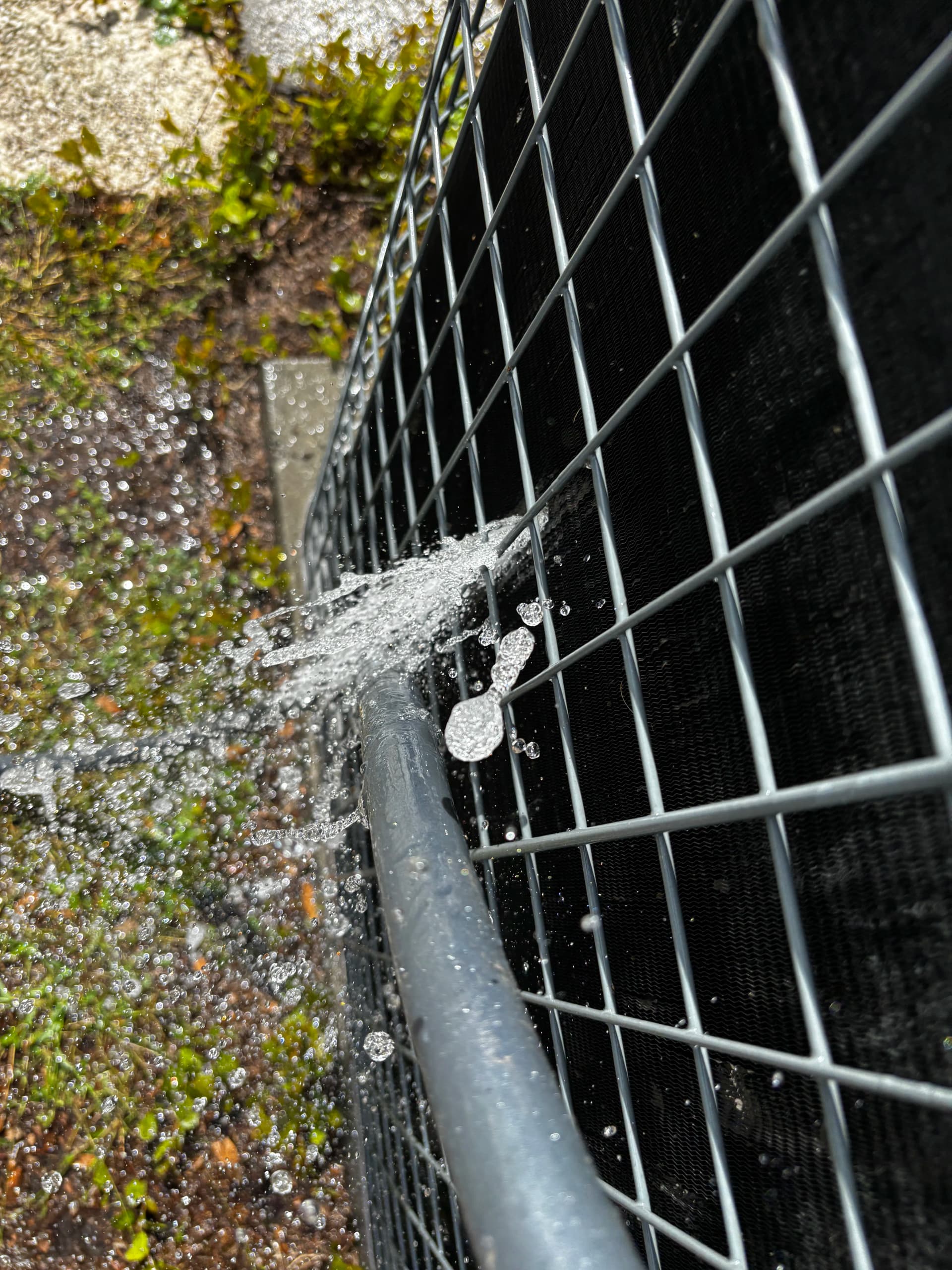 Gallery photos for Full AC Tune-Up Inside and Out - Here's What It Actually Looks Like: Image #9