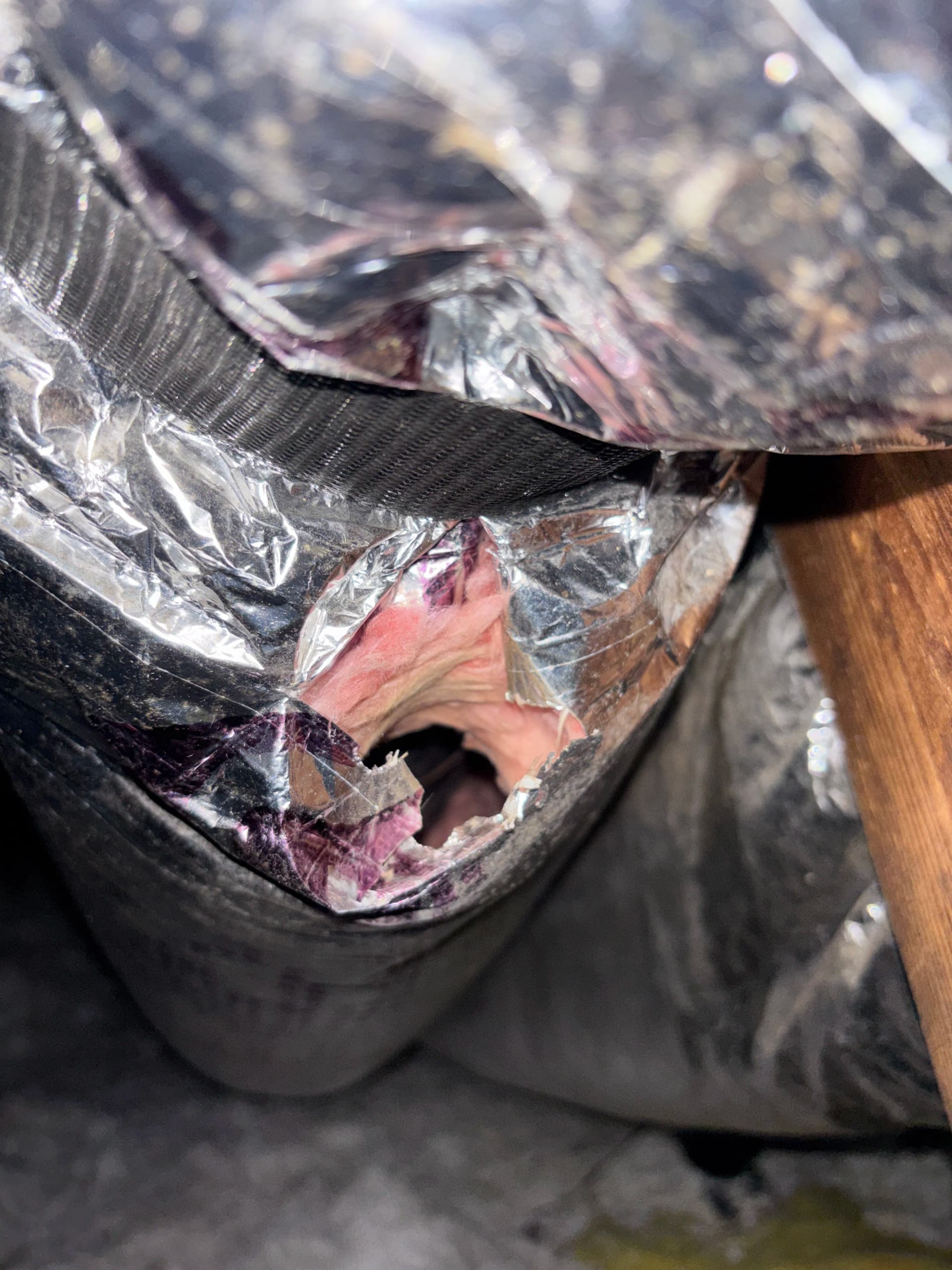 Gallery photos for What Damaged Ductwork Actually Looks Like Inside Your Attic: Image #4