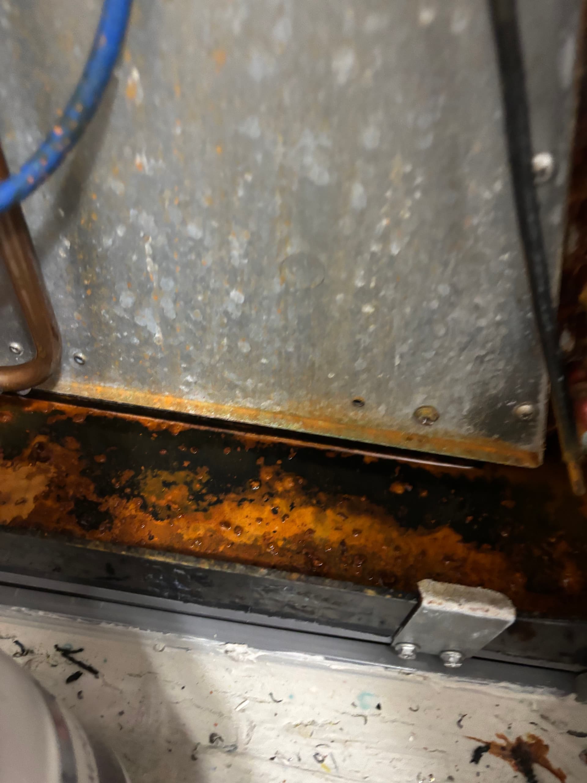 Gallery photos for Inverter AC Tune-Up Done Right - Filter, Coils, and All: Image #1