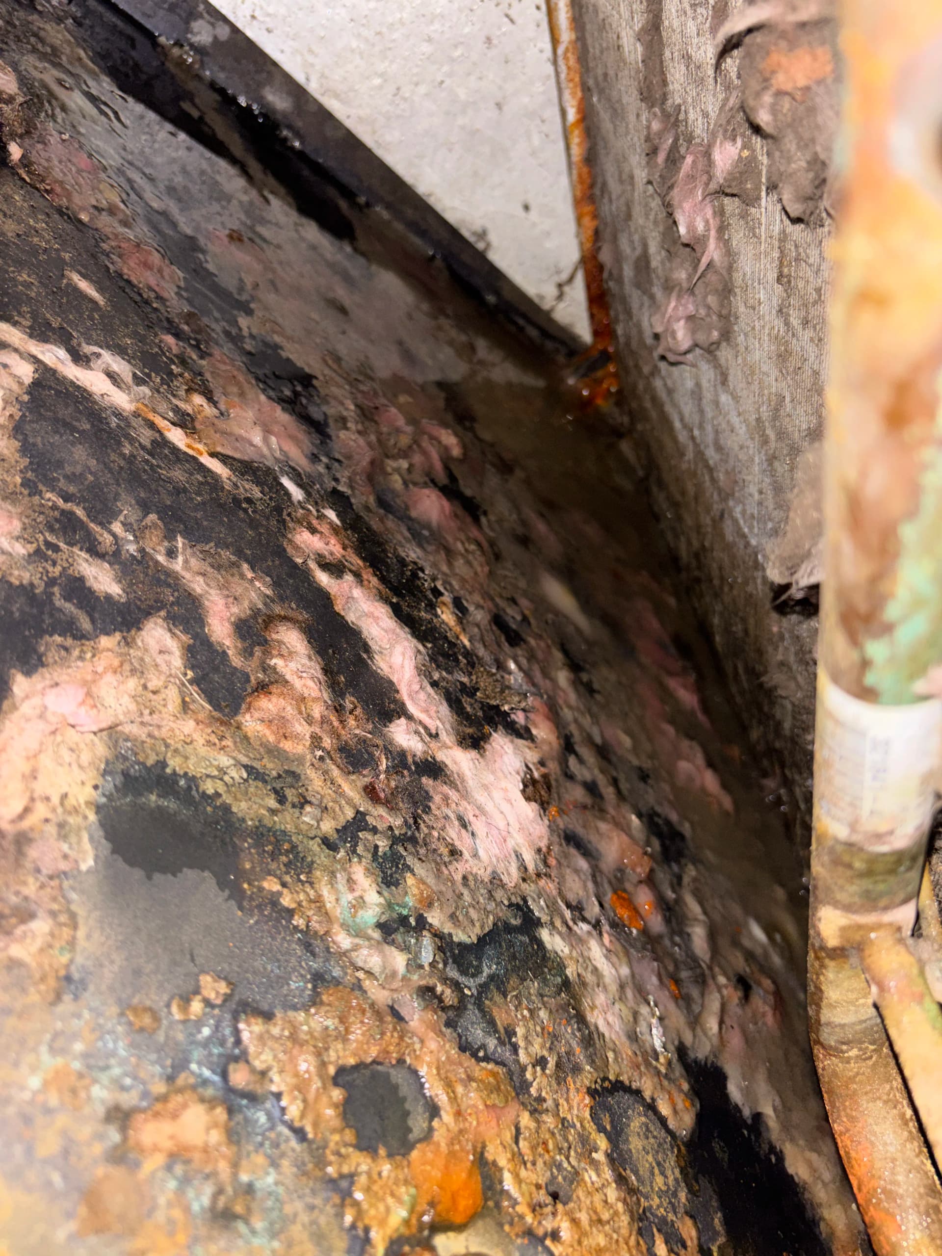 Gallery photos for Rodent Damage to Ductwork Is Worse Than You Think: Image #5