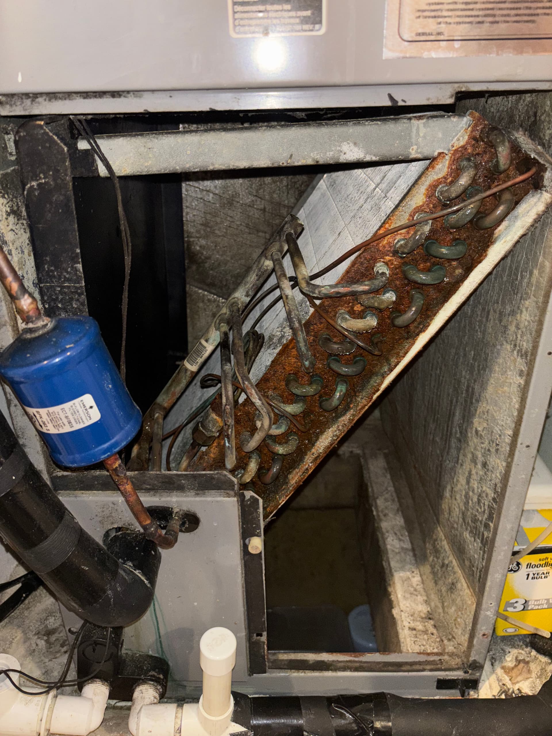 Gallery photos for Efficiency Restored - HVAC Coil Maintained: Image #1