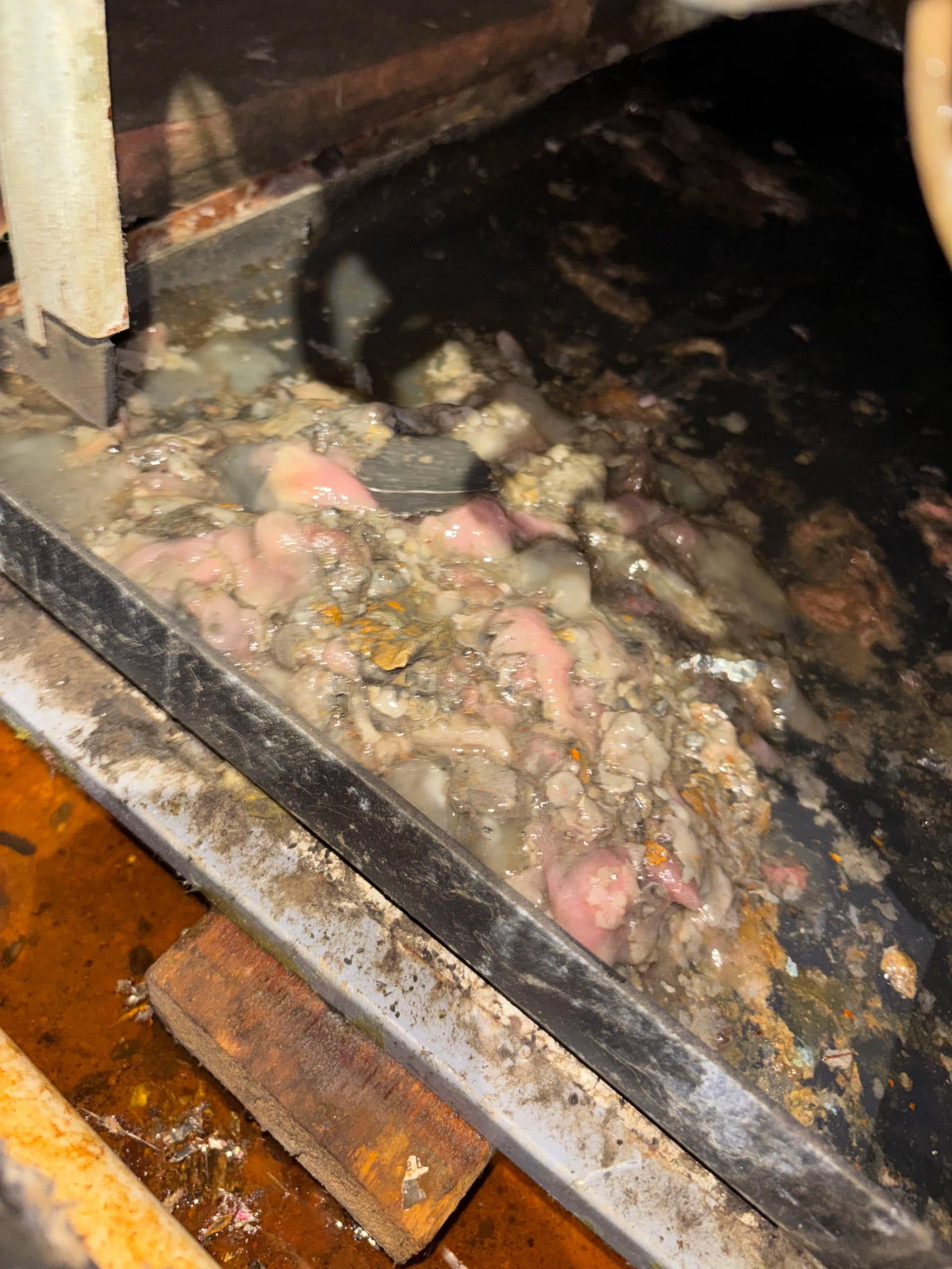 Gallery photos for Rodent Damage to Ductwork Is Worse Than You Think: Image #6