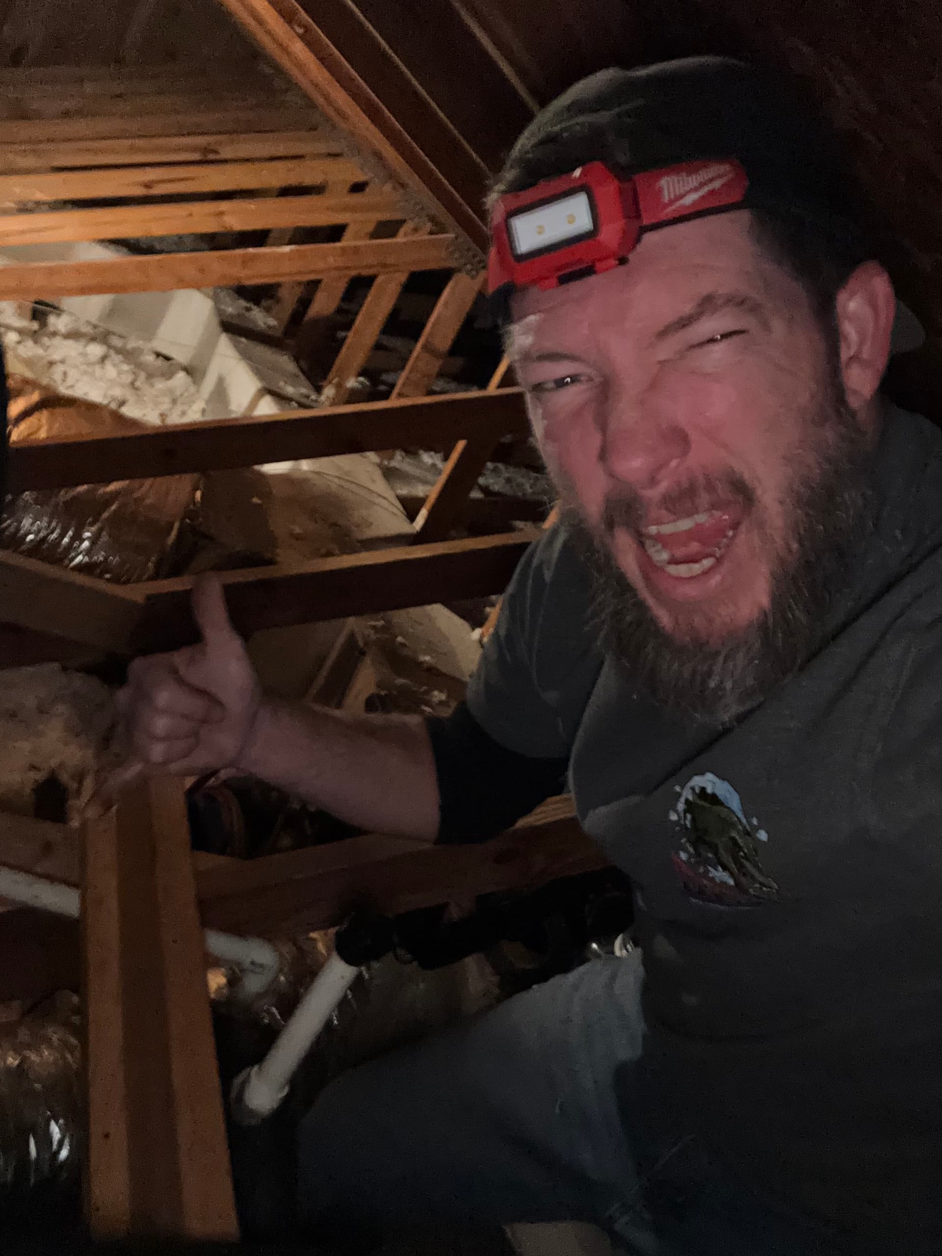 Adventures in Attic HVAC Maintenance image