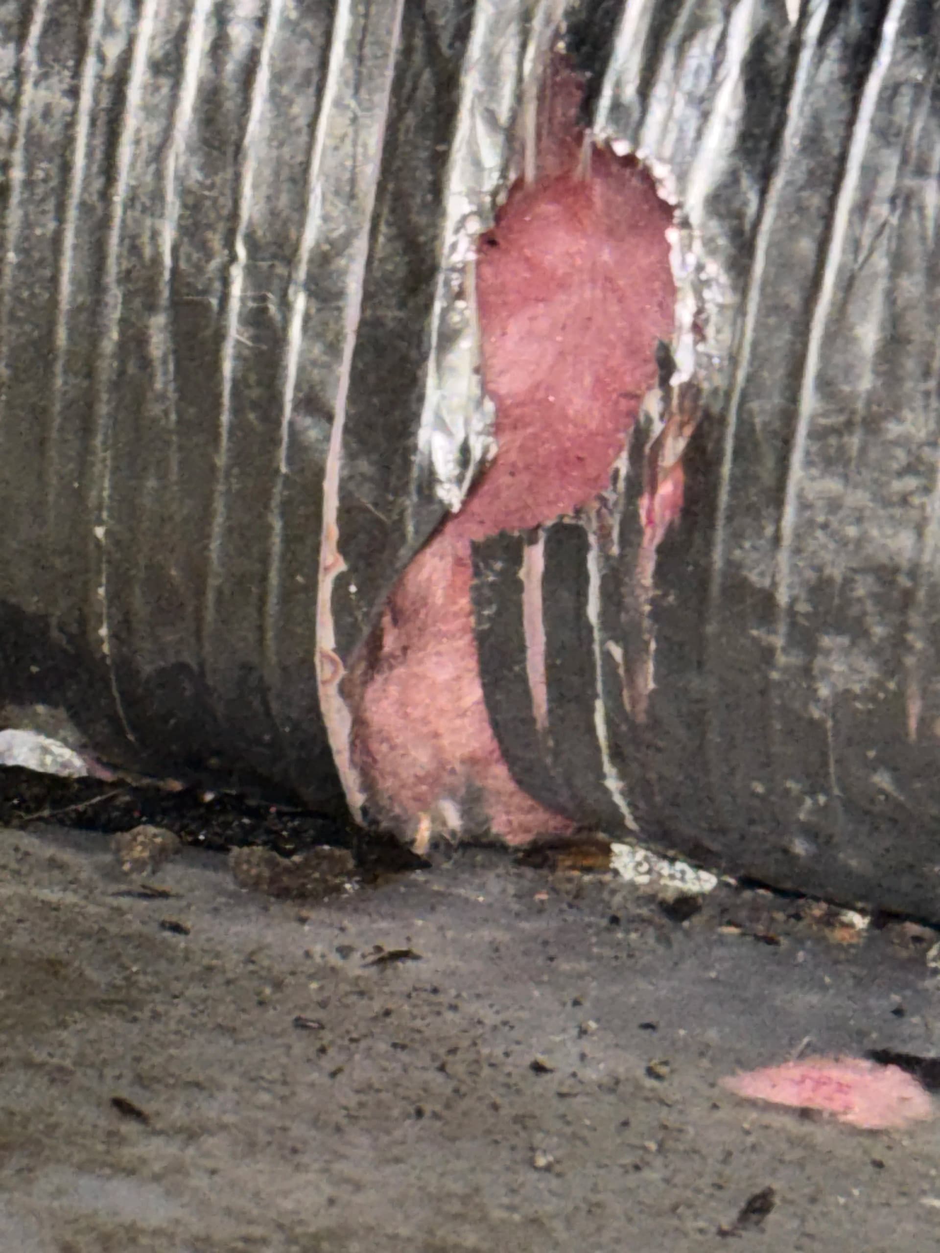 Gallery photos for What Damaged Ductwork Actually Looks Like Inside Your Attic: Image #2