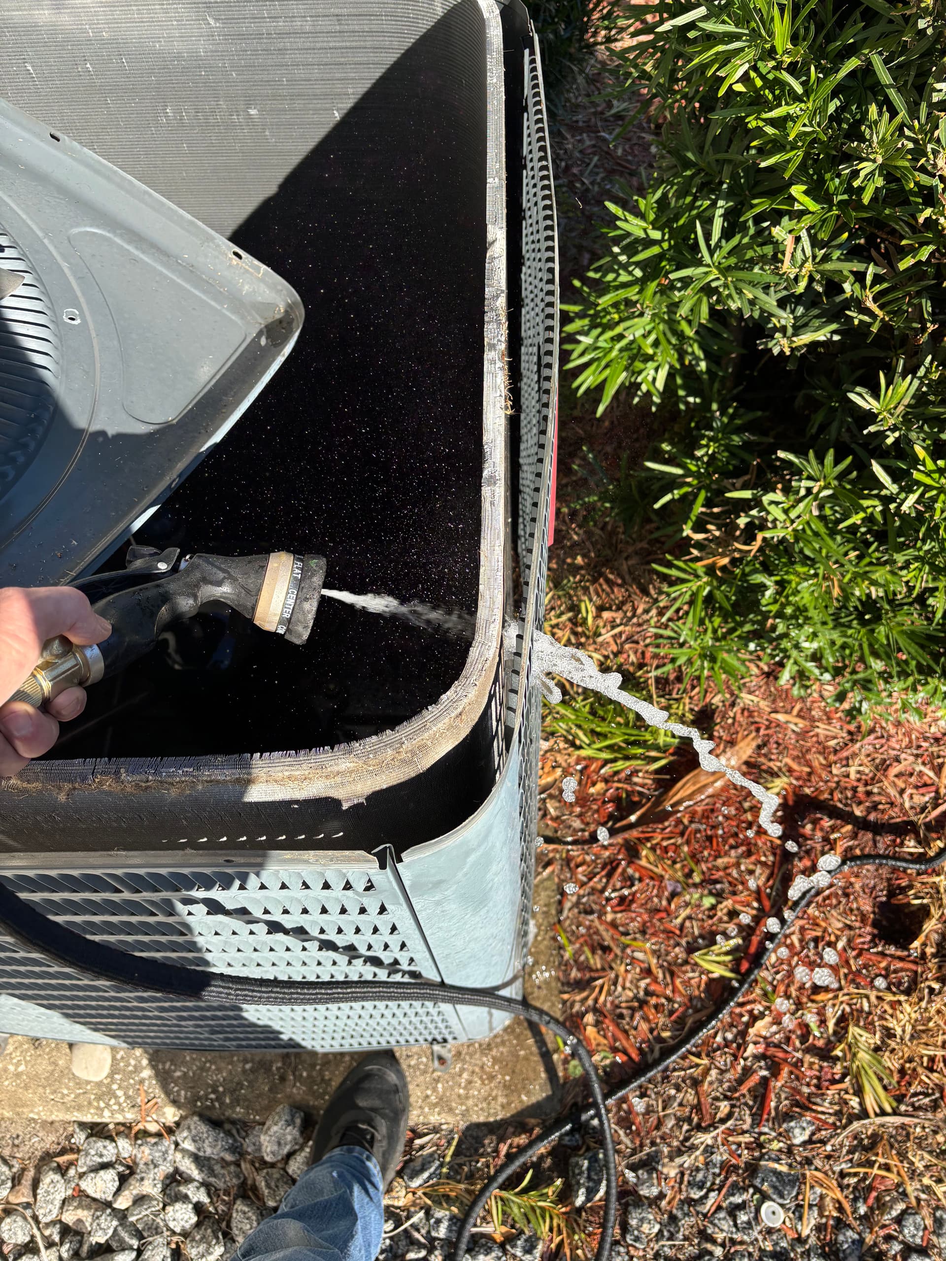 Join the Dino Club for Expert HVAC Maintenance image