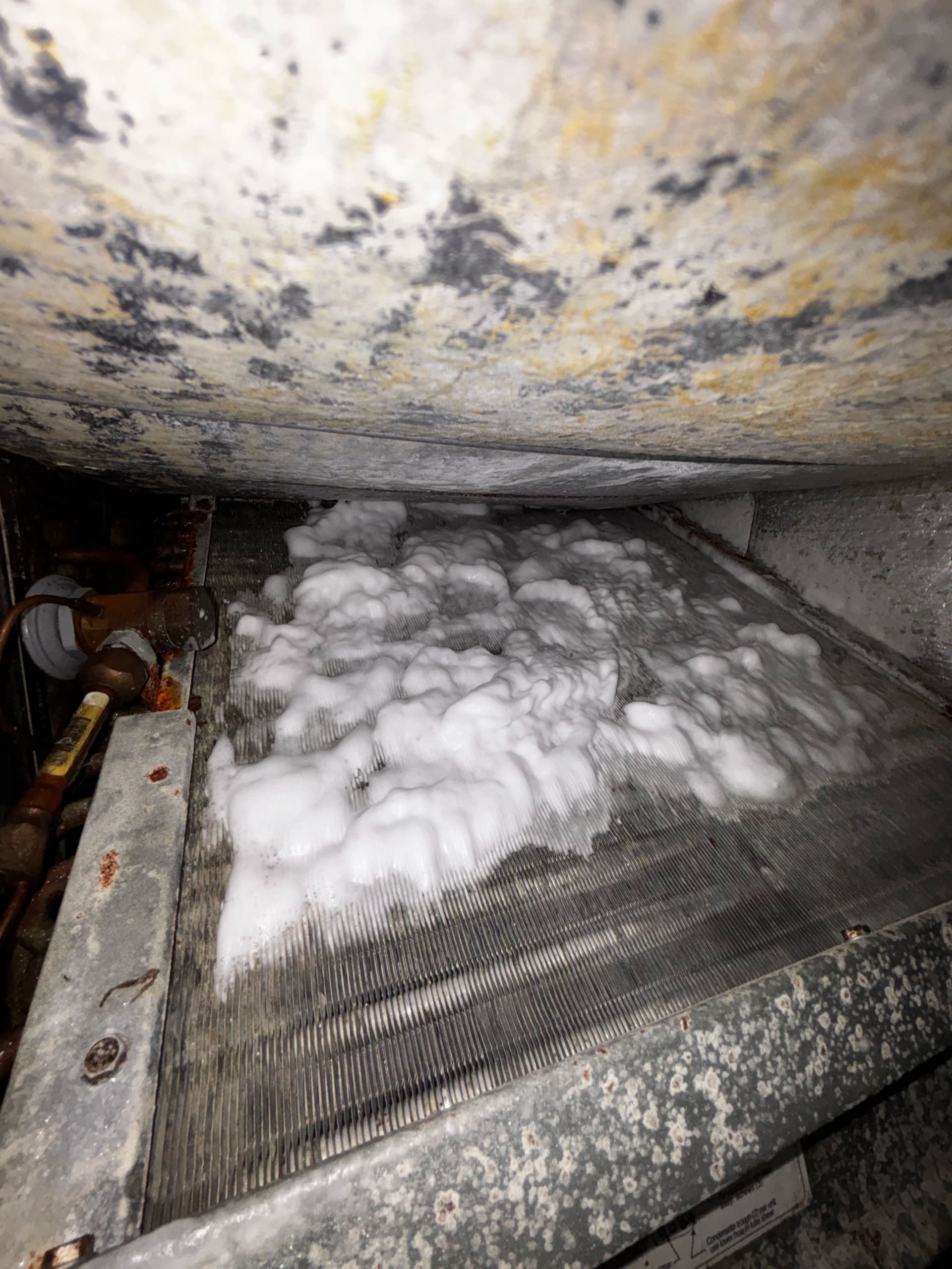 Gallery photos for Full AC Tune-Up Inside and Out - Here's What It Actually Looks Like: Image #3
