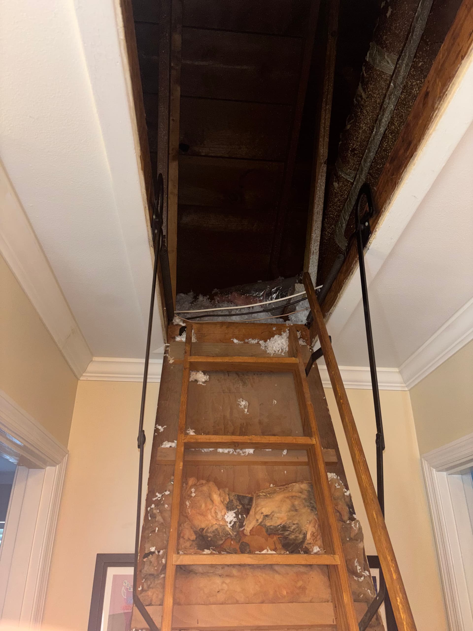 What a Duct Inspection Actually Looks Like Up in the Attic image