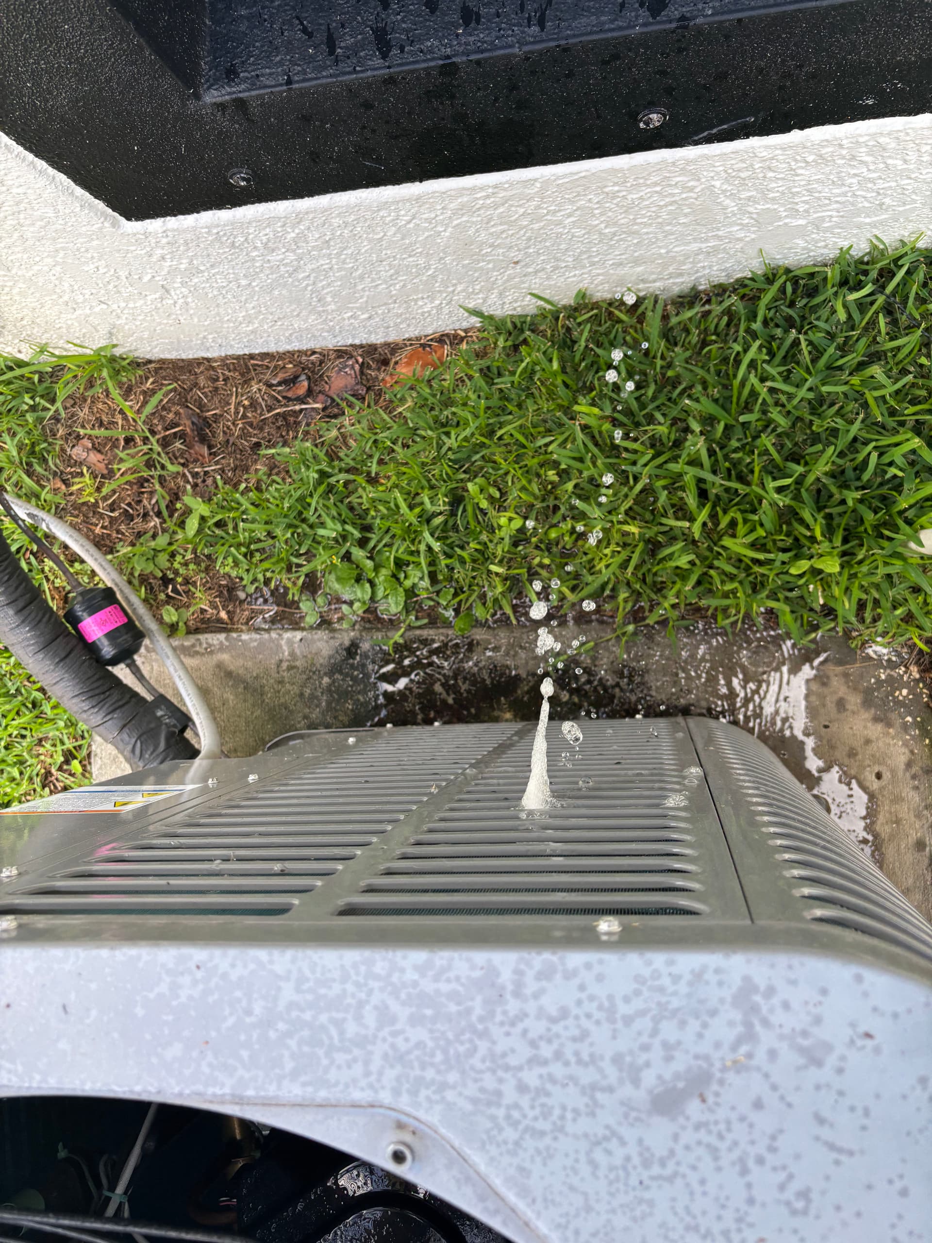 Gallery photos for Inverter AC Tune-Up Done Right - Filter, Coils, and All: Image #4