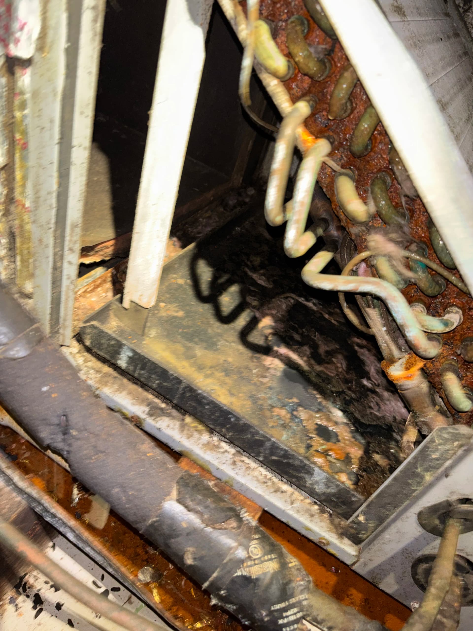 Gallery photos for Rodent Damage to Ductwork Is Worse Than You Think: Image #4